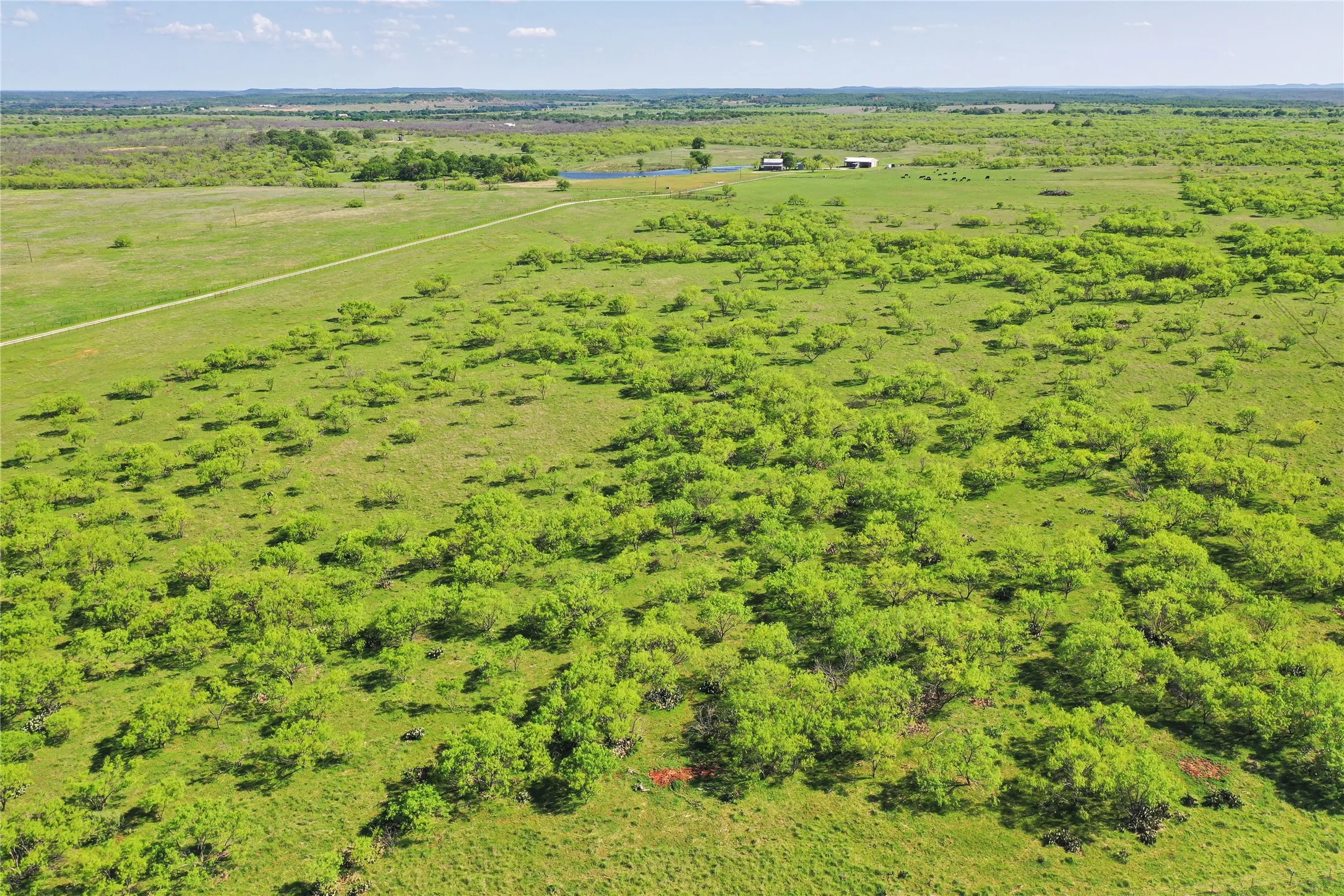 Unimproved Land For Sale in Jack County , TBD FM 175 Tract #1, Jacksboro, Texas 76365, 0, 0, Garage spaces, 0 Sqft, built in 0, mls#21392383, Real Estate Agent in Jacksboro, Homes For Sale in Jack county, Homes For Sale in Jacksboro, Realtor in Jacksboro Texas, Real Estate Brokerage Independent Realty Texas, Luminita Cordes Realtor