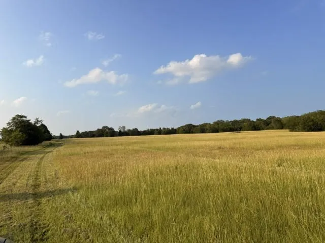 Unimproved Land For Sale in Henderson County , TBD A CR 2500, Eustace, Texas 75124, 0, 0, Garage spaces, 0 Sqft, built in 0, mls#21398256, Real Estate Agent in Eustace, Homes For Sale in Henderson county, Homes For Sale in Eustace, Realtor in Eustace Texas, Real Estate Brokerage Independent Realty Texas, Luminita Cordes Realtor