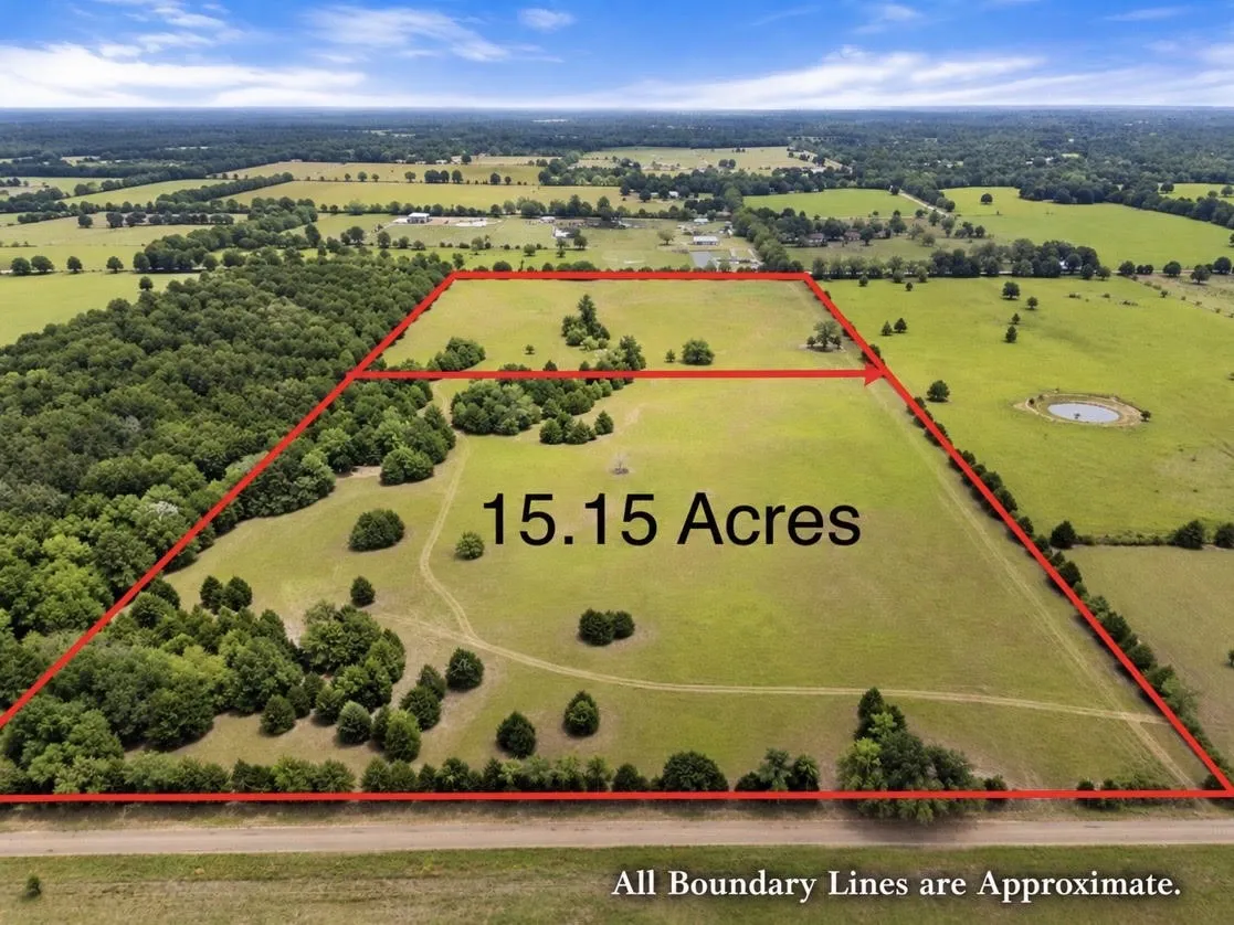Unimproved Land For Sale in Henderson County , TBD A CR 2500, Eustace, Texas 75124, 0, 0, Garage spaces, 0 Sqft, built in 0, mls#21398256, Real Estate Agent in Eustace, Homes For Sale in Henderson county, Homes For Sale in Eustace, Realtor in Eustace Texas, Real Estate Brokerage Independent Realty Texas, Luminita Cordes Realtor