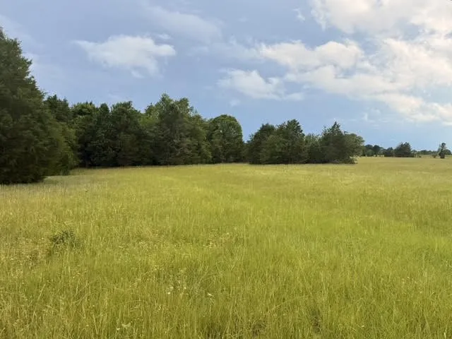 Unimproved Land For Sale in Henderson County , TBD A CR 2500, Eustace, Texas 75124, 0, 0, Garage spaces, 0 Sqft, built in 0, mls#21398256, Real Estate Agent in Eustace, Homes For Sale in Henderson county, Homes For Sale in Eustace, Realtor in Eustace Texas, Real Estate Brokerage Independent Realty Texas, Luminita Cordes Realtor