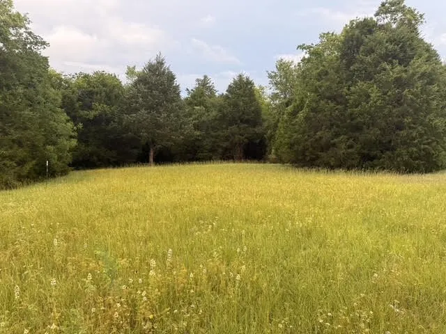 Unimproved Land For Sale in Henderson County , TBD A CR 2500, Eustace, Texas 75124, 0, 0, Garage spaces, 0 Sqft, built in 0, mls#21398256, Real Estate Agent in Eustace, Homes For Sale in Henderson county, Homes For Sale in Eustace, Realtor in Eustace Texas, Real Estate Brokerage Independent Realty Texas, Luminita Cordes Realtor