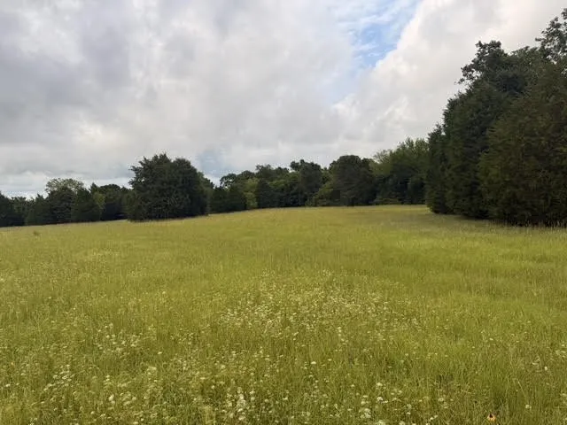 Unimproved Land For Sale in Henderson County , TBD A CR 2500, Eustace, Texas 75124, 0, 0, Garage spaces, 0 Sqft, built in 0, mls#21398256, Real Estate Agent in Eustace, Homes For Sale in Henderson county, Homes For Sale in Eustace, Realtor in Eustace Texas, Real Estate Brokerage Independent Realty Texas, Luminita Cordes Realtor