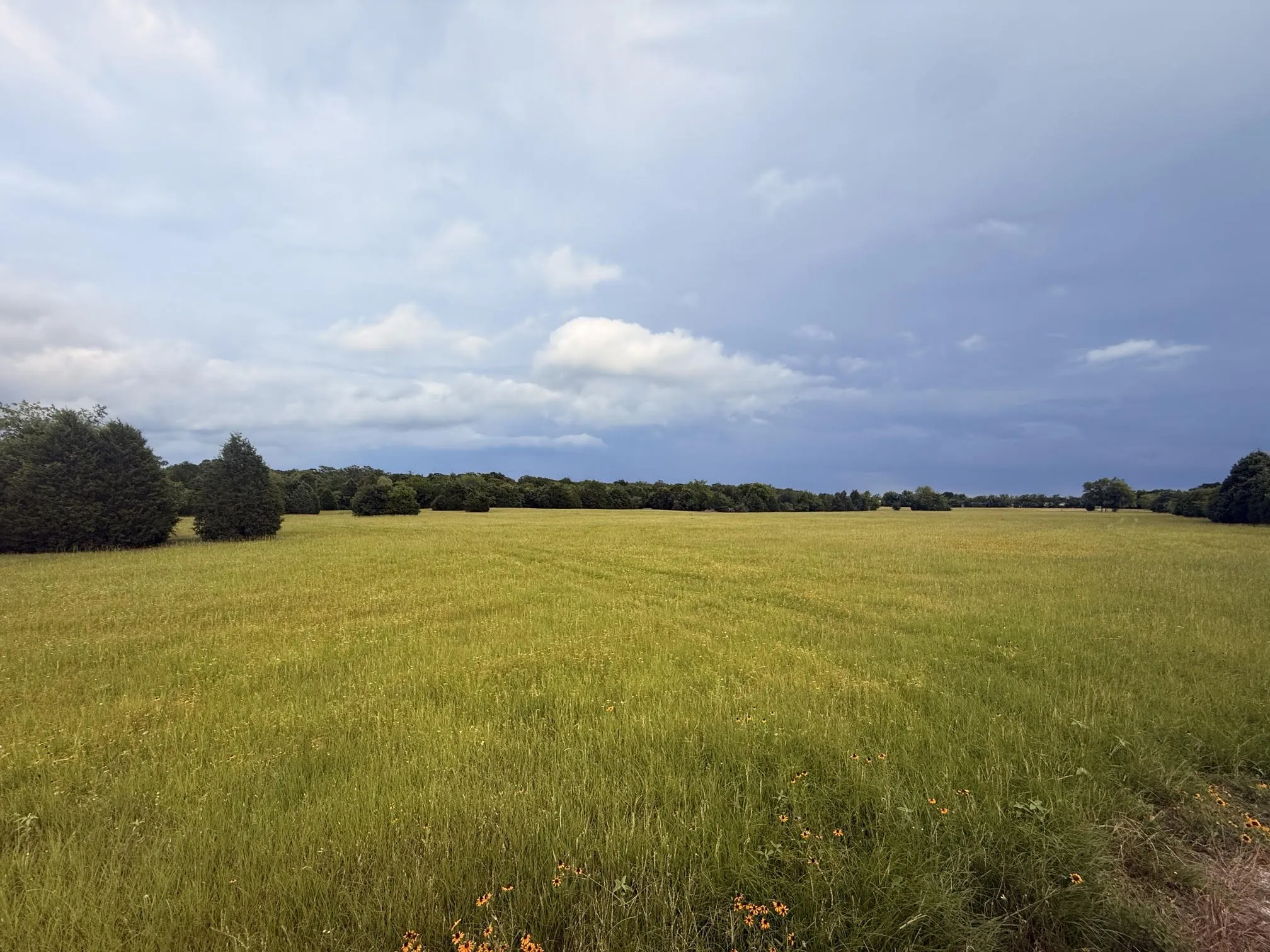 Unimproved Land For Sale in Henderson County , TBD A CR 2500, Eustace, Texas 75124, 0, 0, Garage spaces, 0 Sqft, built in 0, mls#21398256, Real Estate Agent in Eustace, Homes For Sale in Henderson county, Homes For Sale in Eustace, Realtor in Eustace Texas, Real Estate Brokerage Independent Realty Texas, Luminita Cordes Realtor