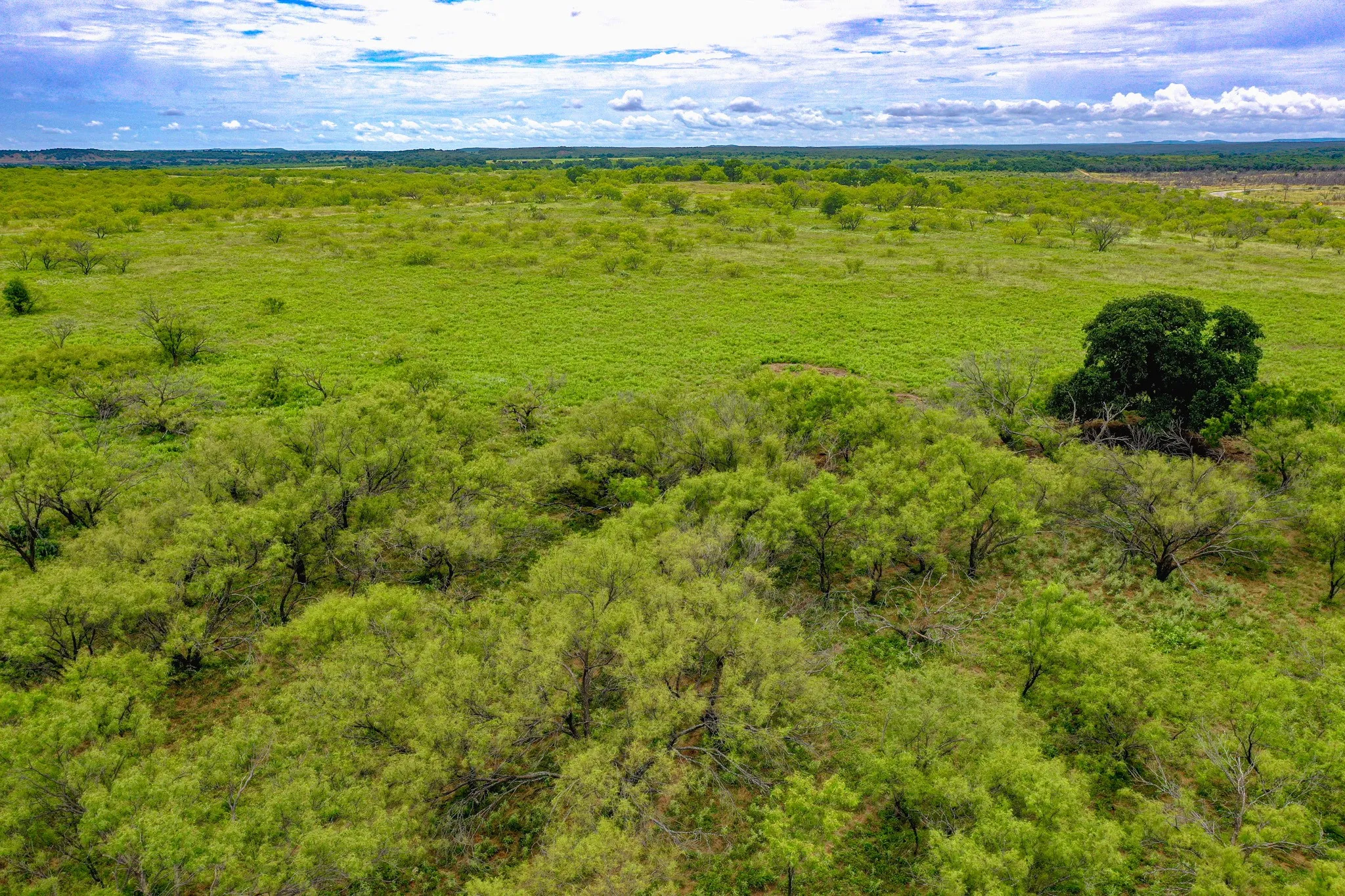 Unimproved Land For Sale in Jack County , TBD FM 175 Tract #2, Jacksboro, Texas 76365, 0, 0, Garage spaces, 0 Sqft, built in 2004, mls#21392406, Real Estate Agent in Jacksboro, Homes For Sale in Jack county, Homes For Sale in Jacksboro, Realtor in Jacksboro Texas, Real Estate Brokerage Independent Realty Texas, Luminita Cordes Realtor