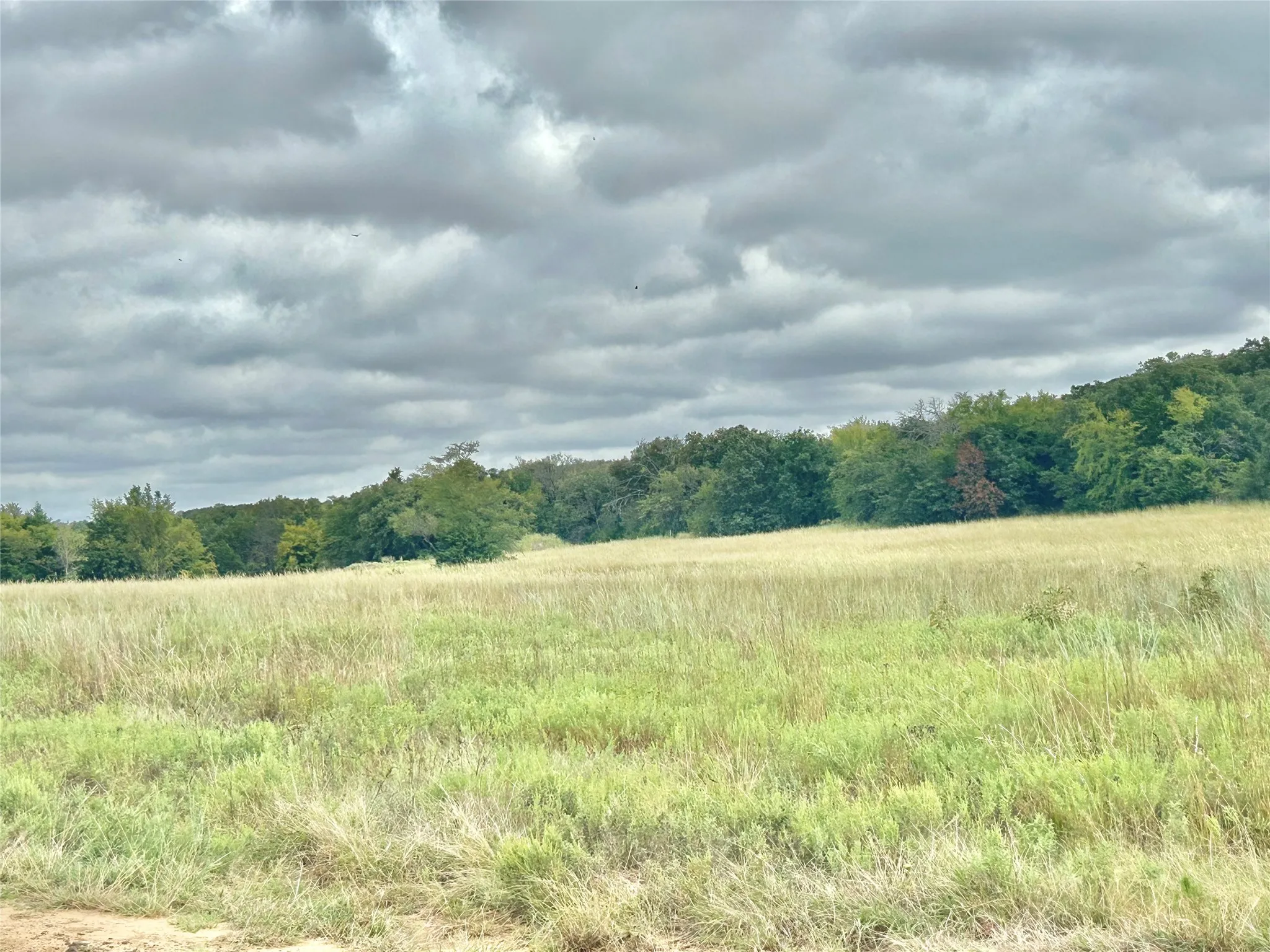 Farm For Sale in Cooke County , 3211 Fm 678, Gainesville, Texas 76240, 4 Bedroom, 2 Bathroom, Garage spaces, 3,256 Sqft, built in 1986, mls#21398268, Real Estate Agent in Gainesville, Homes For Sale in Cooke county, Homes For Sale in Gainesville, Realtor in Gainesville Texas, Real Estate Brokerage Independent Realty Texas, Luminita Cordes Realtor