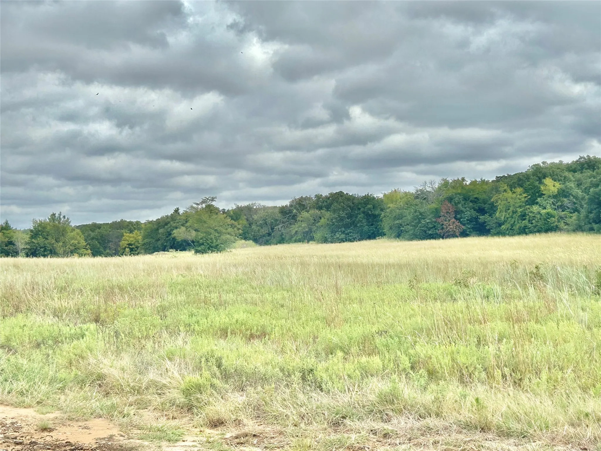 Farm For Sale in Cooke County , 3211 Fm 678, Gainesville, Texas 76240, 4 Bedroom, 2 Bathroom, Garage spaces, 3,256 Sqft, built in 1986, mls#21398268, Real Estate Agent in Gainesville, Homes For Sale in Cooke county, Homes For Sale in Gainesville, Realtor in Gainesville Texas, Real Estate Brokerage Independent Realty Texas, Luminita Cordes Realtor