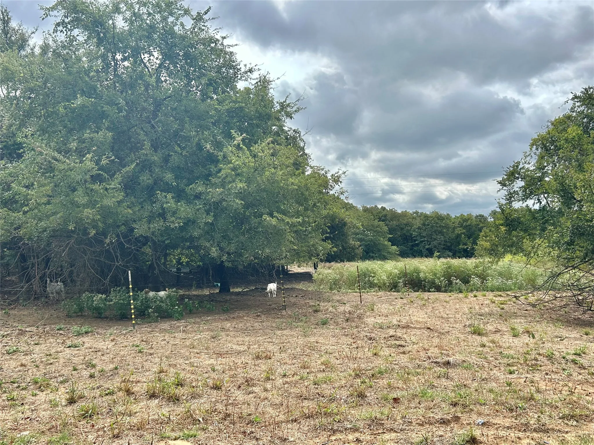 Farm For Sale in Cooke County , 3211 Fm 678, Gainesville, Texas 76240, 4 Bedroom, 2 Bathroom, Garage spaces, 3,256 Sqft, built in 1986, mls#21398268, Real Estate Agent in Gainesville, Homes For Sale in Cooke county, Homes For Sale in Gainesville, Realtor in Gainesville Texas, Real Estate Brokerage Independent Realty Texas, Luminita Cordes Realtor