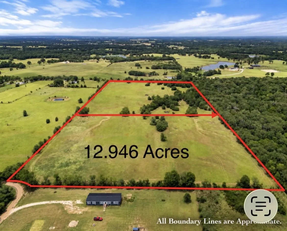 Unimproved Land For Sale in Henderson County , TBD CR 2501, Eustace, Texas 75124, 0, 0, Garage spaces, 0 Sqft, built in 0, mls#21398271, Real Estate Agent in Eustace, Homes For Sale in Henderson county, Homes For Sale in Eustace, Realtor in Eustace Texas, Real Estate Brokerage Independent Realty Texas, Luminita Cordes Realtor