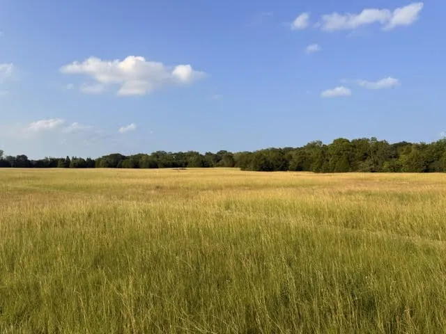 Unimproved Land For Sale in Henderson County , TBD CR 2501, Eustace, Texas 75124, 0, 0, Garage spaces, 0 Sqft, built in 0, mls#21398271, Real Estate Agent in Eustace, Homes For Sale in Henderson county, Homes For Sale in Eustace, Realtor in Eustace Texas, Real Estate Brokerage Independent Realty Texas, Luminita Cordes Realtor