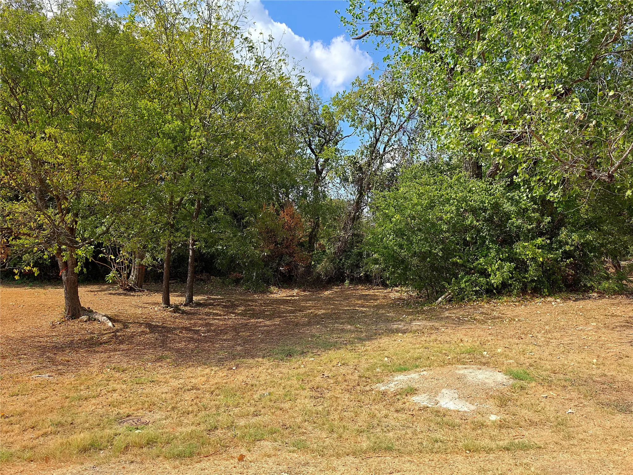 Expansive natural landscape featuring mature trees and lush foliage