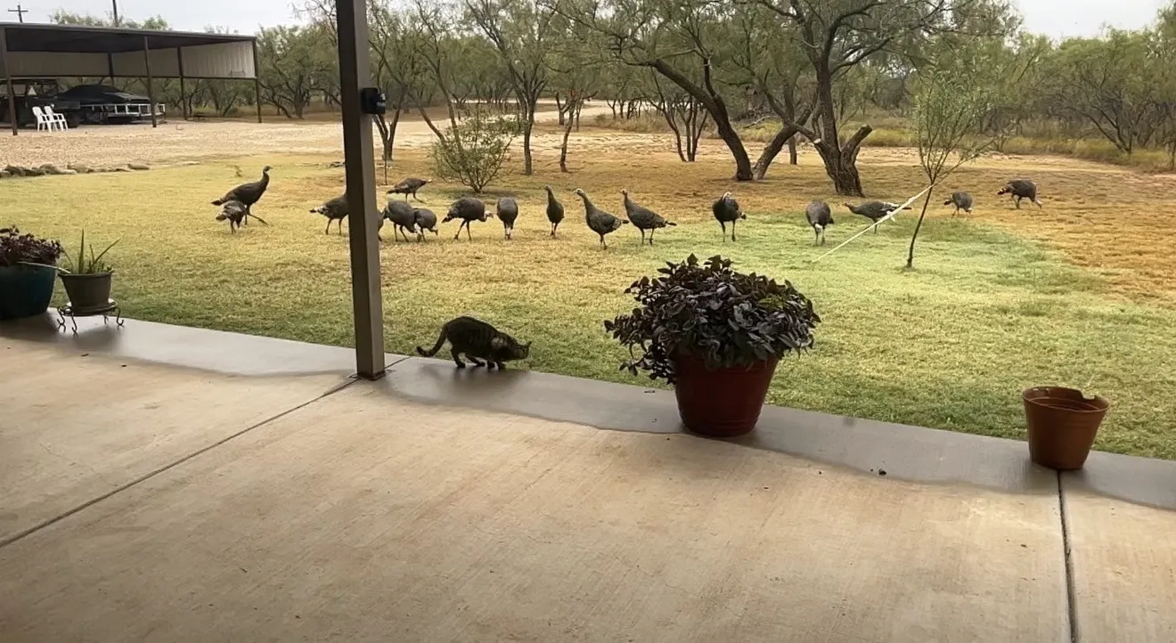 Single Family Residence For Sale in Kent County , 301 Fagan Road, Snyder, Texas 79549, 4 Bedroom, 4 Bathroom, 2 Garage spaces, 2,430 Sqft, built in 2022, mls#21398285, Real Estate Agent in Snyder, Homes For Sale in Kent county, Homes For Sale in Snyder, Realtor in Snyder Texas, Real Estate Brokerage Independent Realty Texas, Luminita Cordes Realtor