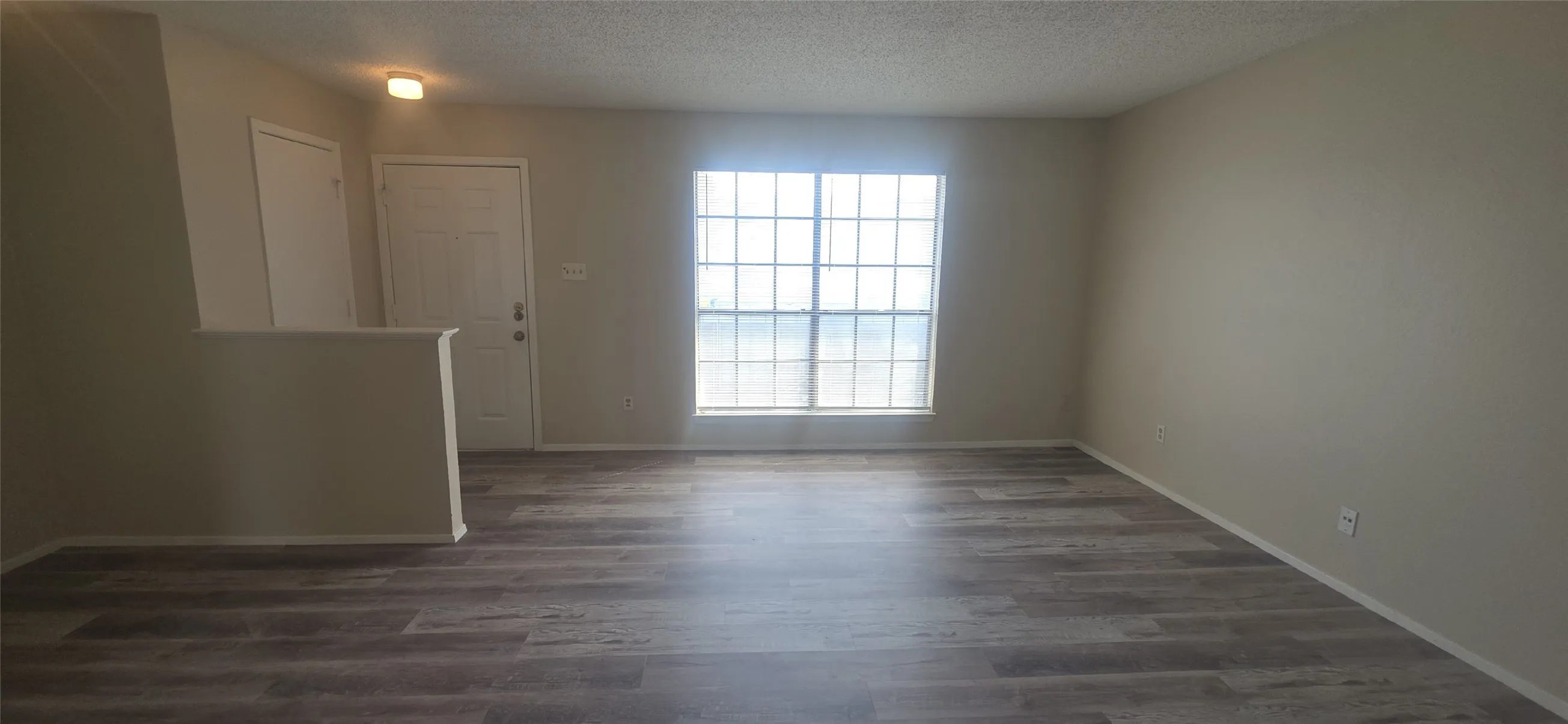 Wood-finish flooring, neutral wall tones, large multi-pane window, and a paneled entry door
