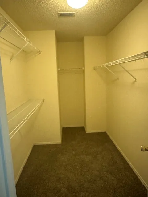 Carpeted walk-in closet featuring wire shelving, wire hanging rods, and an overhead flush-mount light fixture