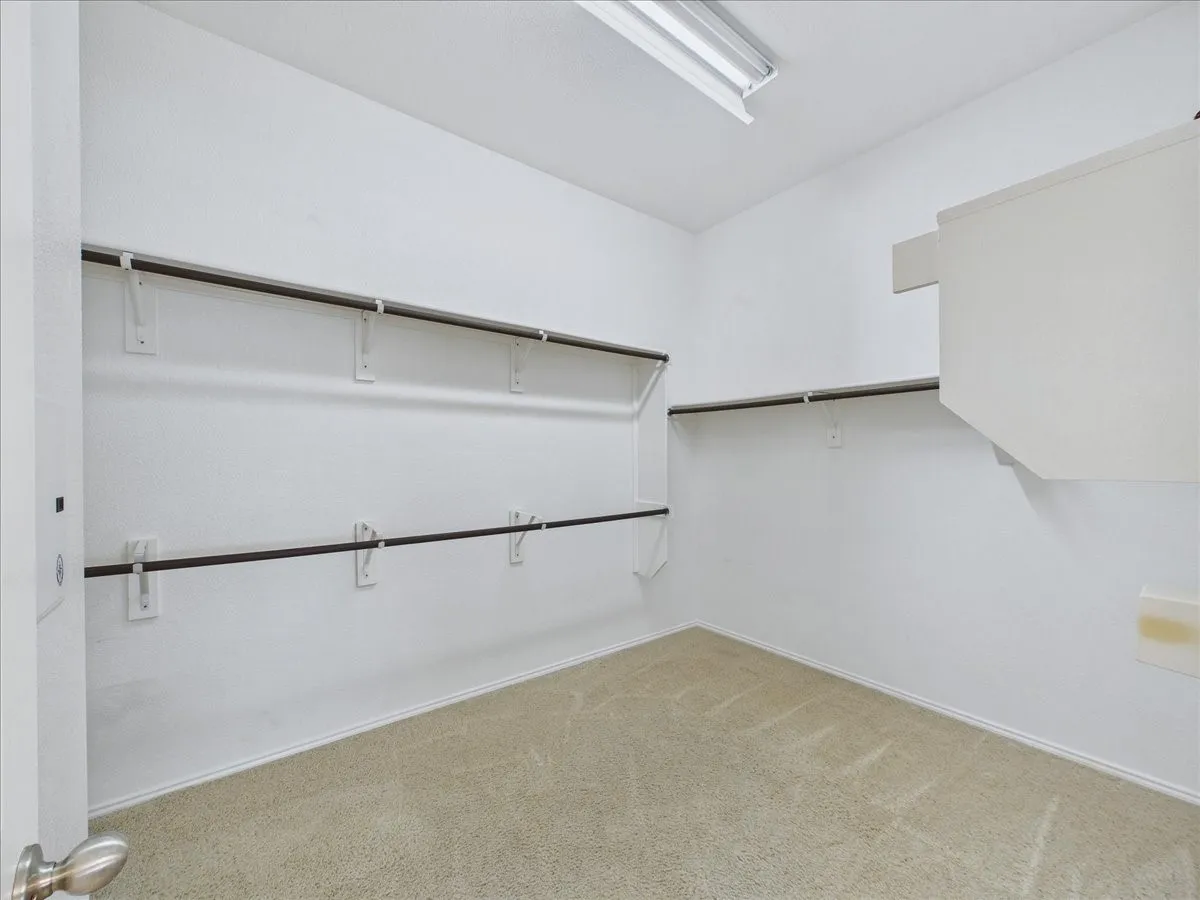 Spacious walk-in closet with carpeted flooring, multiple hanging rods, and an overhead fluorescent light fixture