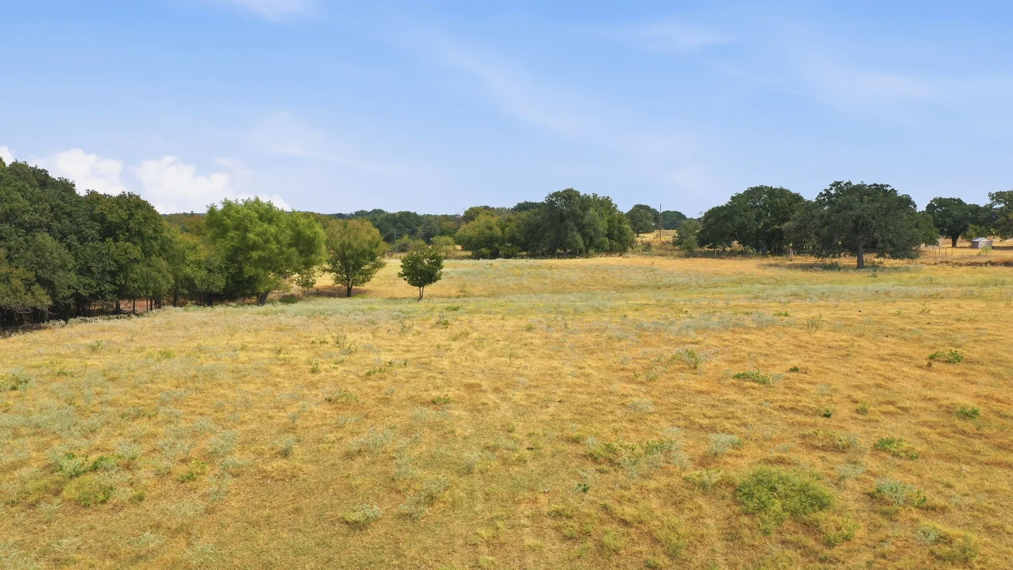 Unimproved Land For Sale in Comanche County , TBD Fm-1476, Dublin, Texas 76446, 0, 0, Garage spaces, 0 Sqft, built in 0, mls#21398353, Real Estate Agent in Dublin, Homes For Sale in Comanche county, Homes For Sale in Dublin, Realtor in Dublin Texas, Real Estate Brokerage Independent Realty Texas, Luminita Cordes Realtor
