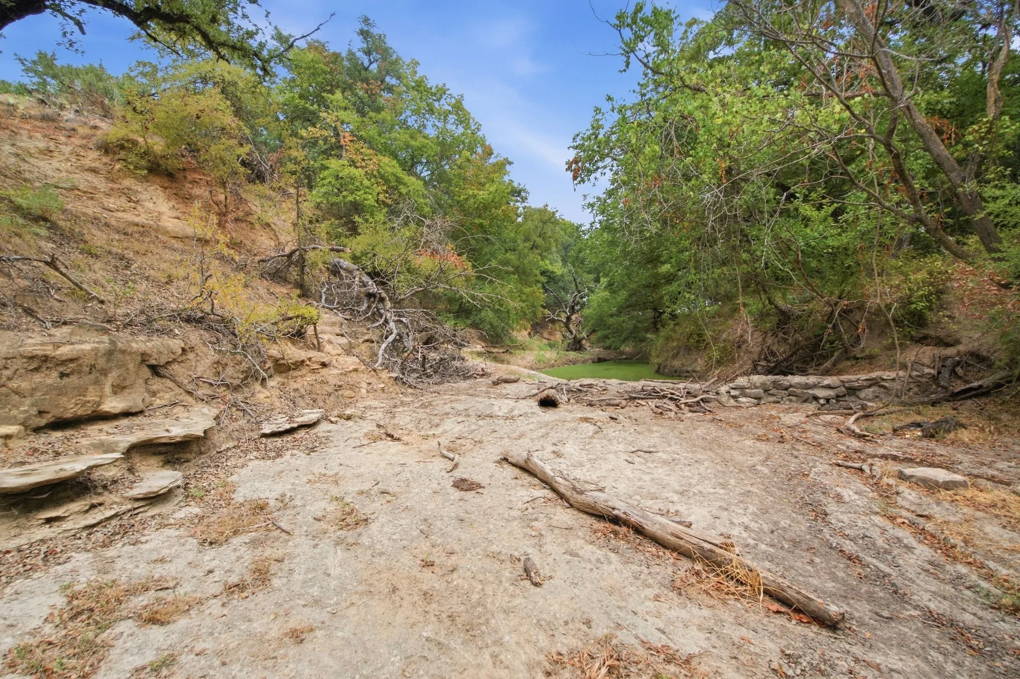 Unimproved Land For Sale in Comanche County , TBD Fm-1476, Dublin, Texas 76446, 0, 0, Garage spaces, 0 Sqft, built in 0, mls#21398353, Real Estate Agent in Dublin, Homes For Sale in Comanche county, Homes For Sale in Dublin, Realtor in Dublin Texas, Real Estate Brokerage Independent Realty Texas, Luminita Cordes Realtor