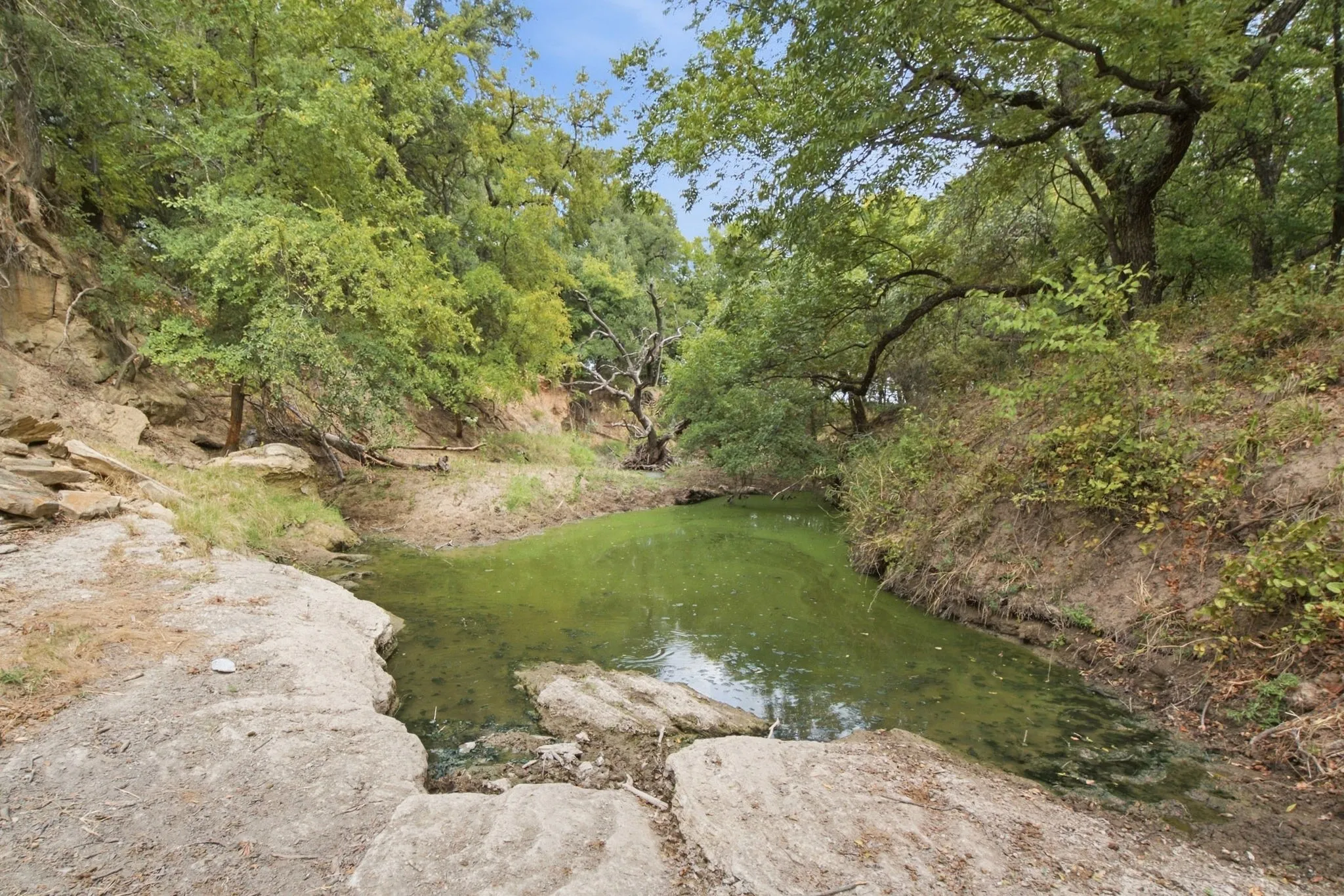 Unimproved Land For Sale in Comanche County , TBD Fm-1476, Dublin, Texas 76446, 0, 0, Garage spaces, 0 Sqft, built in 0, mls#21398353, Real Estate Agent in Dublin, Homes For Sale in Comanche county, Homes For Sale in Dublin, Realtor in Dublin Texas, Real Estate Brokerage Independent Realty Texas, Luminita Cordes Realtor