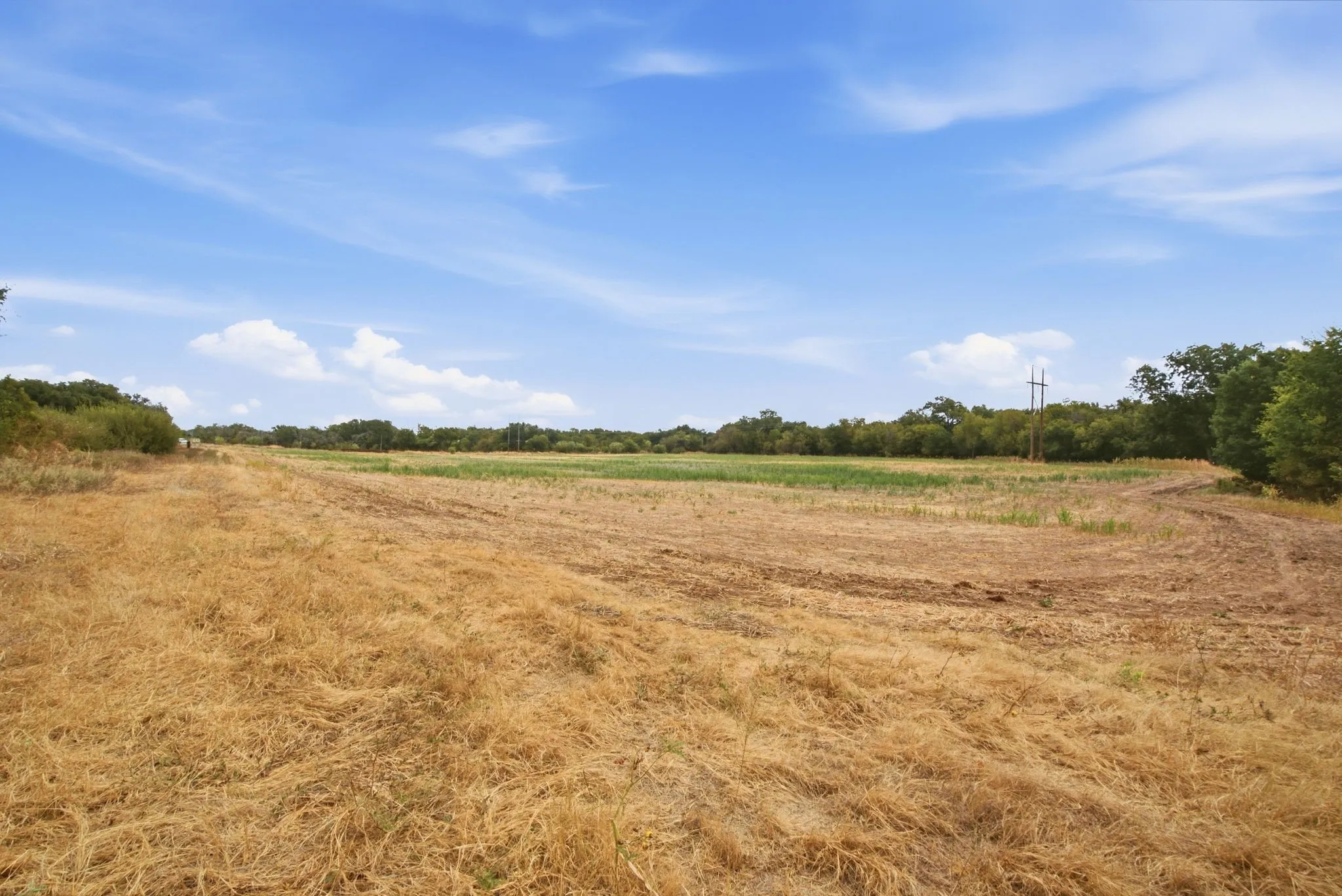 Unimproved Land For Sale in Comanche County , TBD Fm-1476, Dublin, Texas 76446, 0, 0, Garage spaces, 0 Sqft, built in 0, mls#21398353, Real Estate Agent in Dublin, Homes For Sale in Comanche county, Homes For Sale in Dublin, Realtor in Dublin Texas, Real Estate Brokerage Independent Realty Texas, Luminita Cordes Realtor