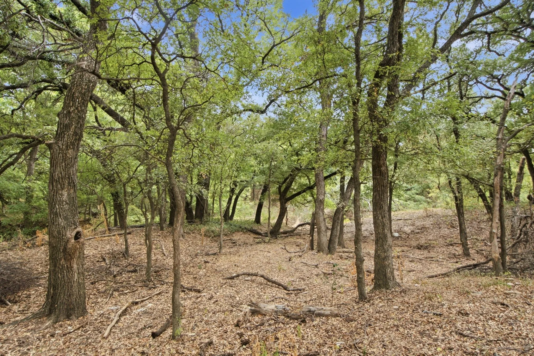 Unimproved Land For Sale in Comanche County , TBD Fm-1476, Dublin, Texas 76446, 0, 0, Garage spaces, 0 Sqft, built in 0, mls#21398353, Real Estate Agent in Dublin, Homes For Sale in Comanche county, Homes For Sale in Dublin, Realtor in Dublin Texas, Real Estate Brokerage Independent Realty Texas, Luminita Cordes Realtor