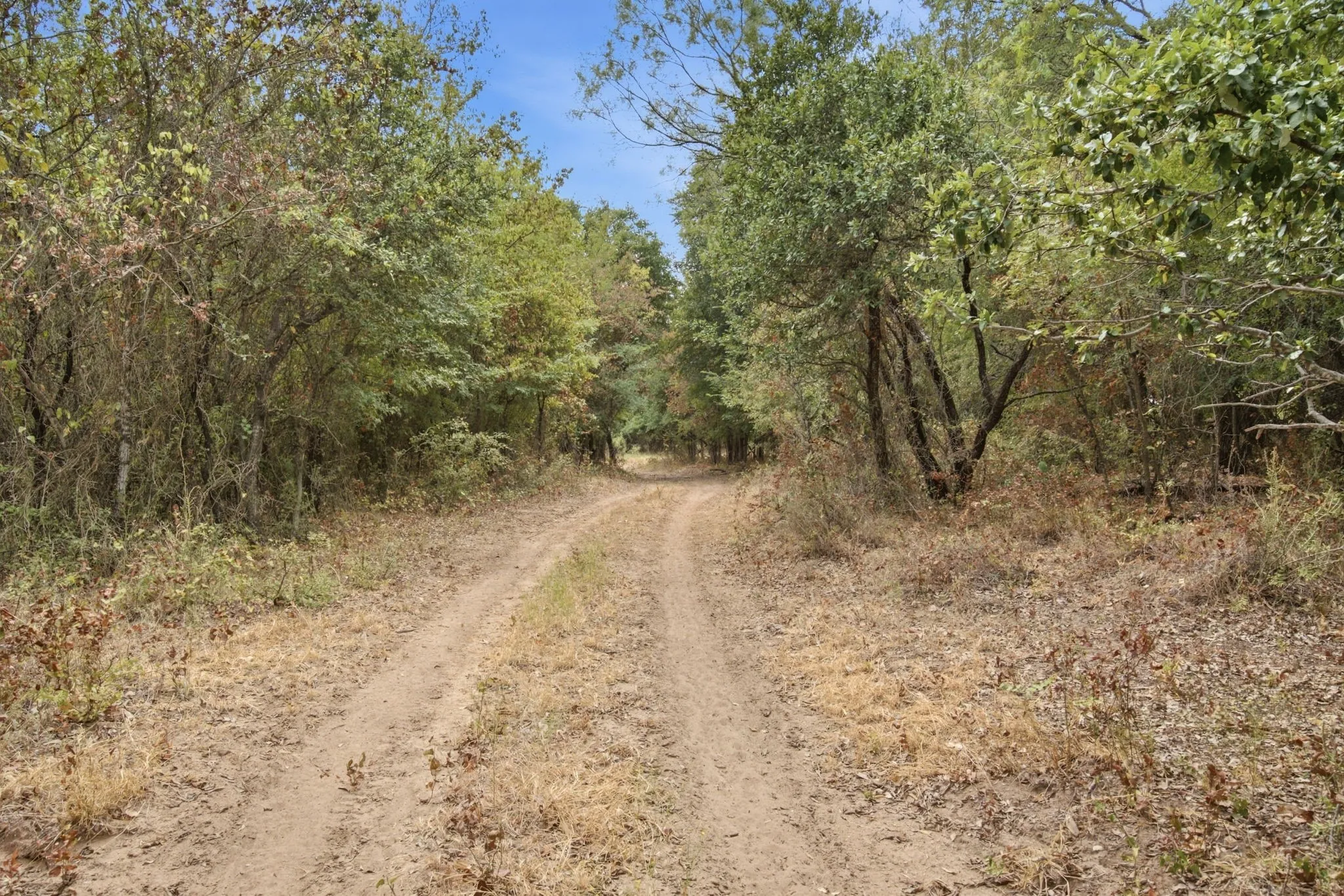 Unimproved Land For Sale in Comanche County , TBD Fm-1476, Dublin, Texas 76446, 0, 0, Garage spaces, 0 Sqft, built in 0, mls#21398353, Real Estate Agent in Dublin, Homes For Sale in Comanche county, Homes For Sale in Dublin, Realtor in Dublin Texas, Real Estate Brokerage Independent Realty Texas, Luminita Cordes Realtor