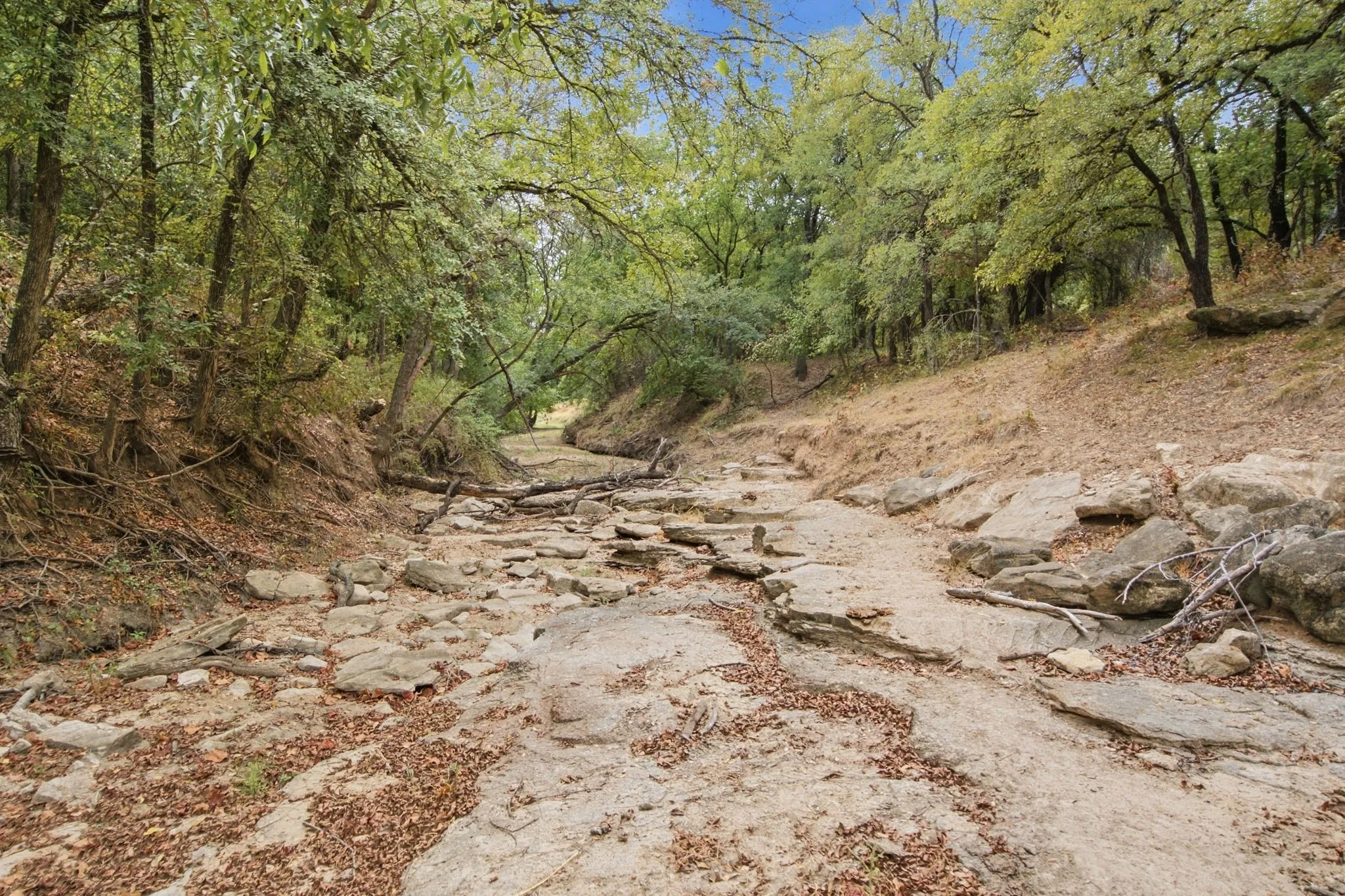 Unimproved Land For Sale in Comanche County , TBD Fm-1476, Dublin, Texas 76446, 0, 0, Garage spaces, 0 Sqft, built in 0, mls#21398353, Real Estate Agent in Dublin, Homes For Sale in Comanche county, Homes For Sale in Dublin, Realtor in Dublin Texas, Real Estate Brokerage Independent Realty Texas, Luminita Cordes Realtor