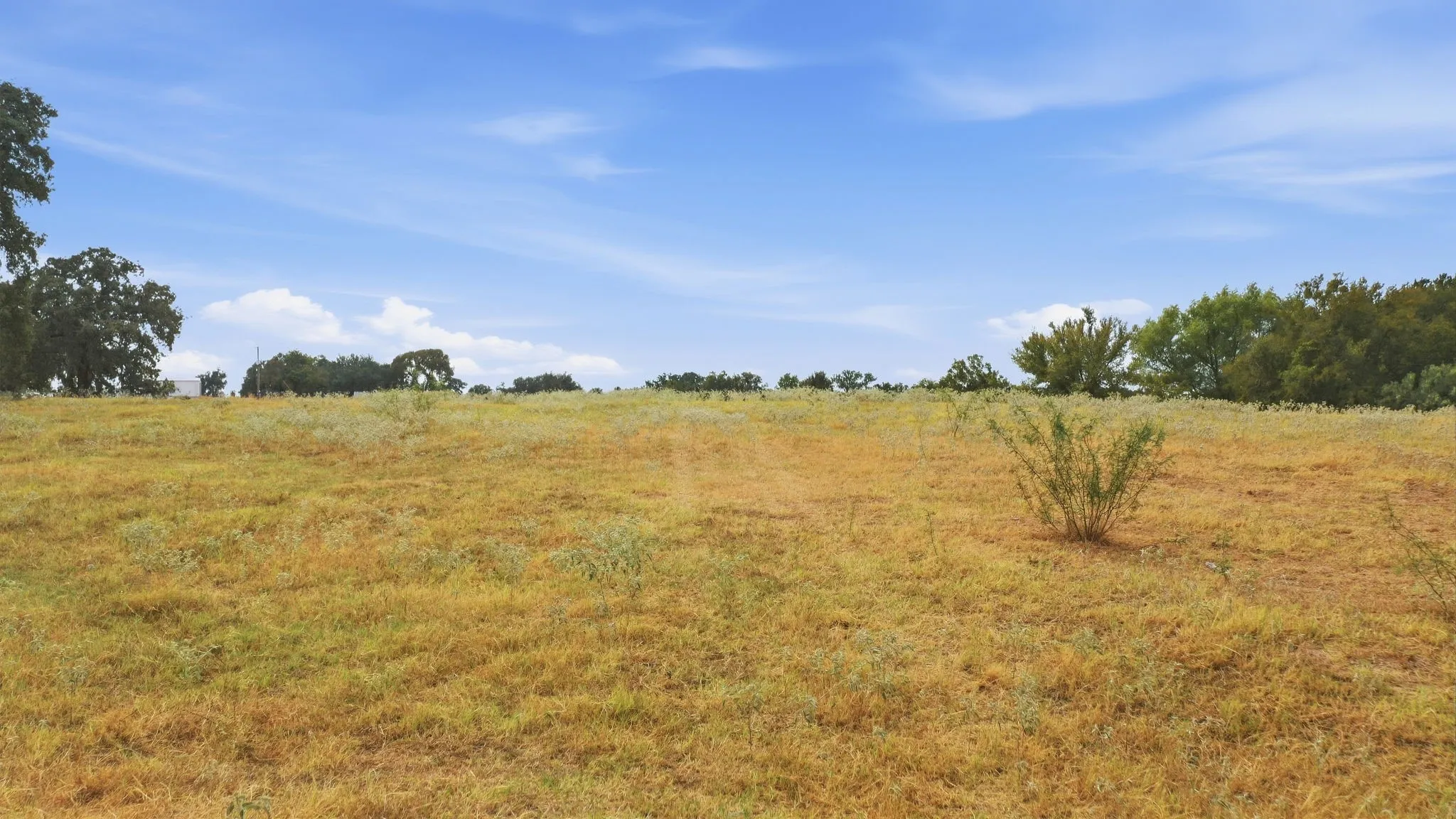 Unimproved Land For Sale in Comanche County , TBD Fm-1476, Dublin, Texas 76446, 0, 0, Garage spaces, 0 Sqft, built in 0, mls#21398353, Real Estate Agent in Dublin, Homes For Sale in Comanche county, Homes For Sale in Dublin, Realtor in Dublin Texas, Real Estate Brokerage Independent Realty Texas, Luminita Cordes Realtor