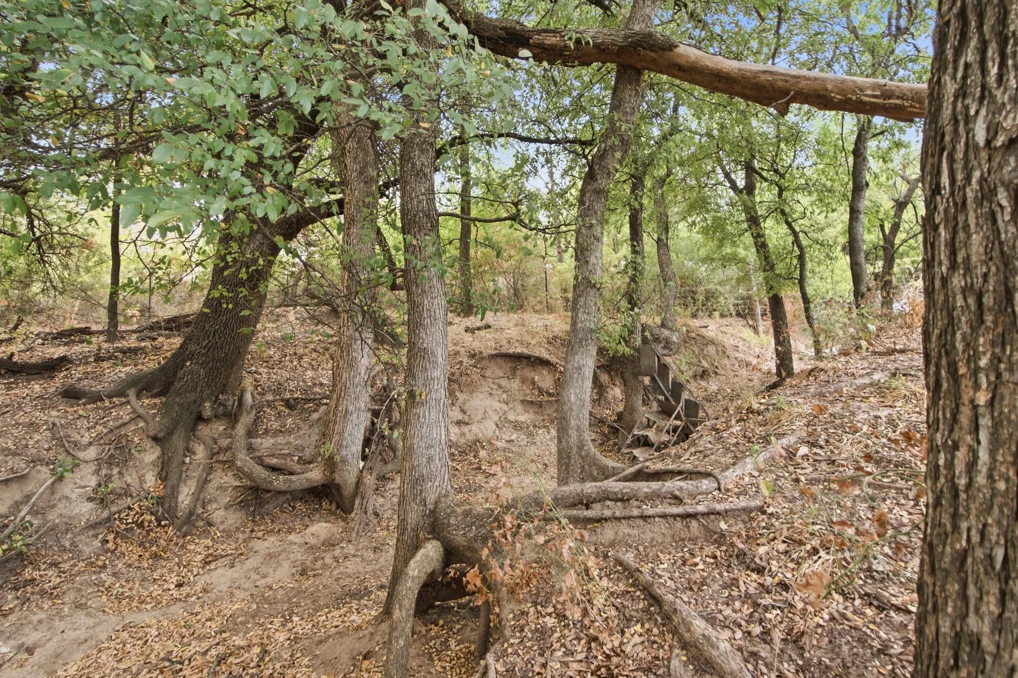 Unimproved Land For Sale in Comanche County , TBD Fm-1476, Dublin, Texas 76446, 0, 0, Garage spaces, 0 Sqft, built in 0, mls#21398353, Real Estate Agent in Dublin, Homes For Sale in Comanche county, Homes For Sale in Dublin, Realtor in Dublin Texas, Real Estate Brokerage Independent Realty Texas, Luminita Cordes Realtor