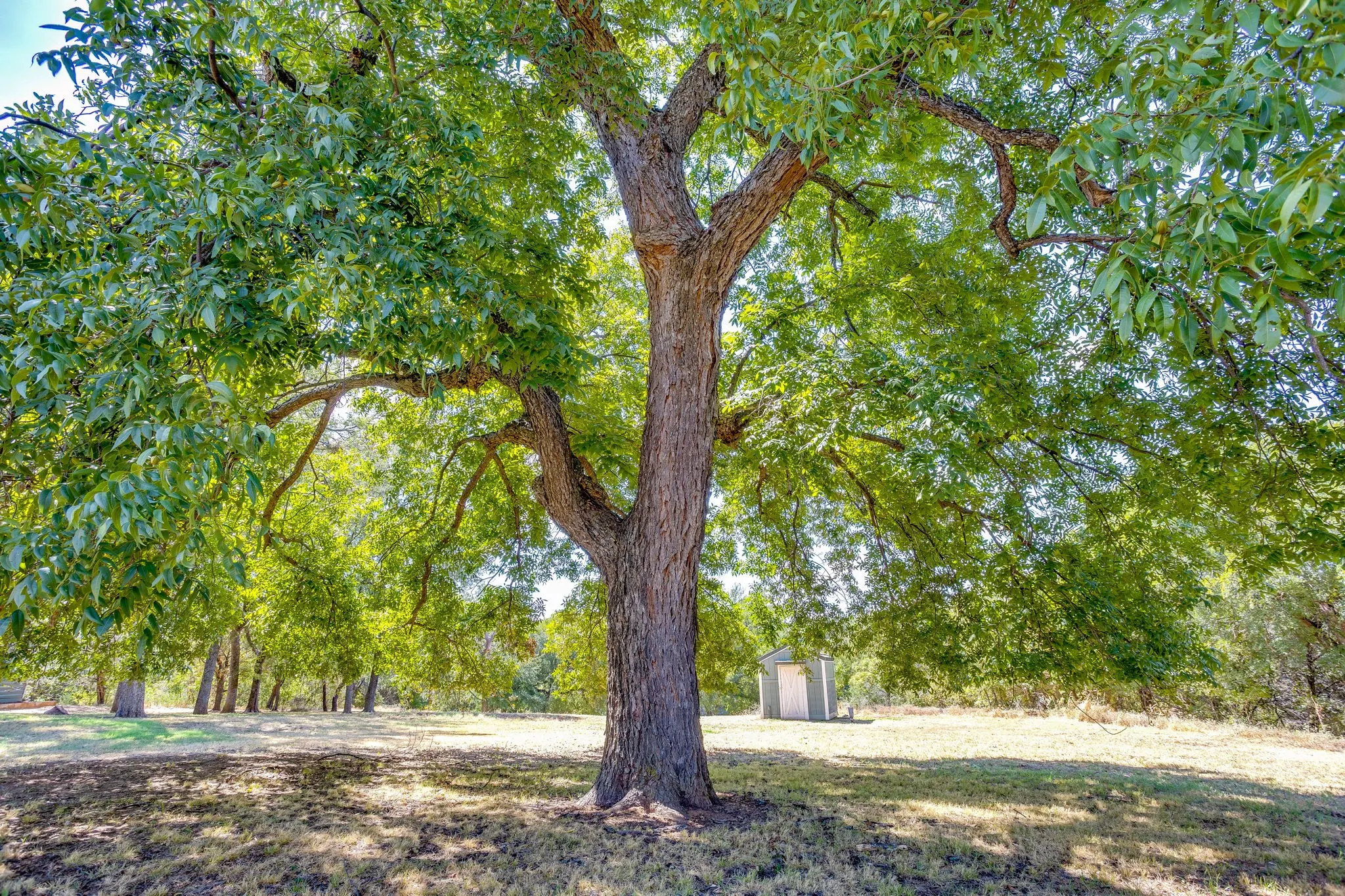 Single Family Residence For Sale in Palo Pinto County , 400 Coronados Trail, Graford, Texas 76449, 4 Bedroom, 2 Bathroom, Garage spaces, 2,498 Sqft, built in 1987, mls#21398295, Real Estate Agent in Graford, Homes For Sale in Palo Pinto county, Homes For Sale in Graford, Realtor in Graford Texas, Real Estate Brokerage Independent Realty Texas, Luminita Cordes Realtor