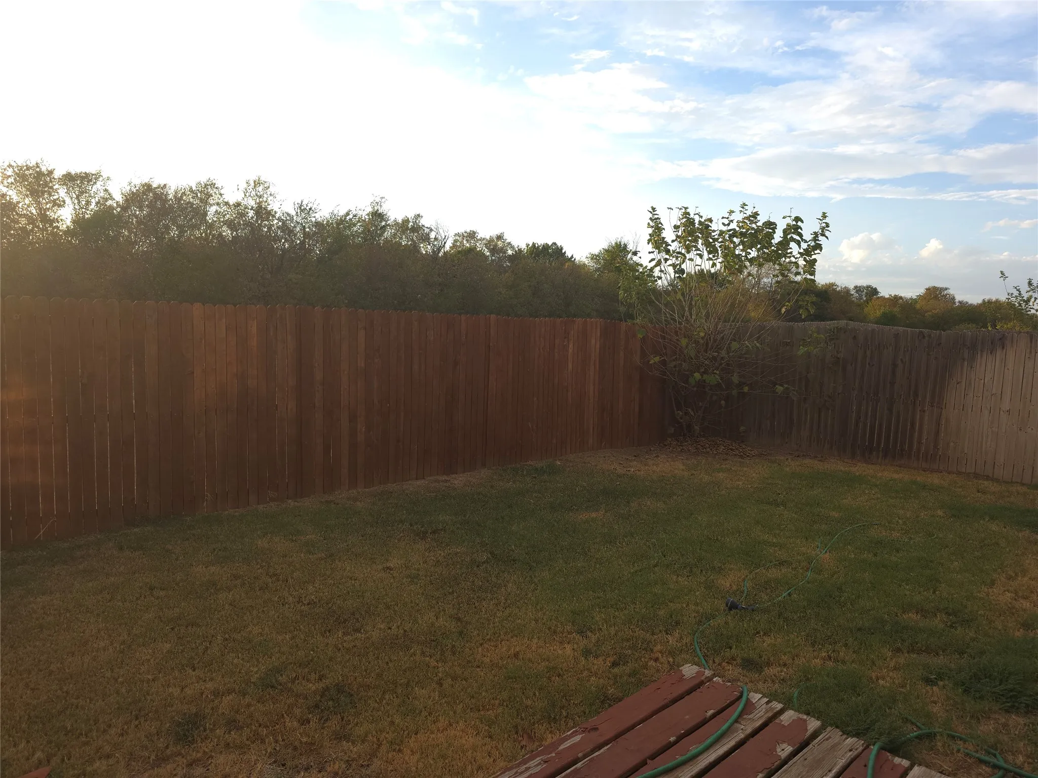 Private backyard with wood fencing and green lawn