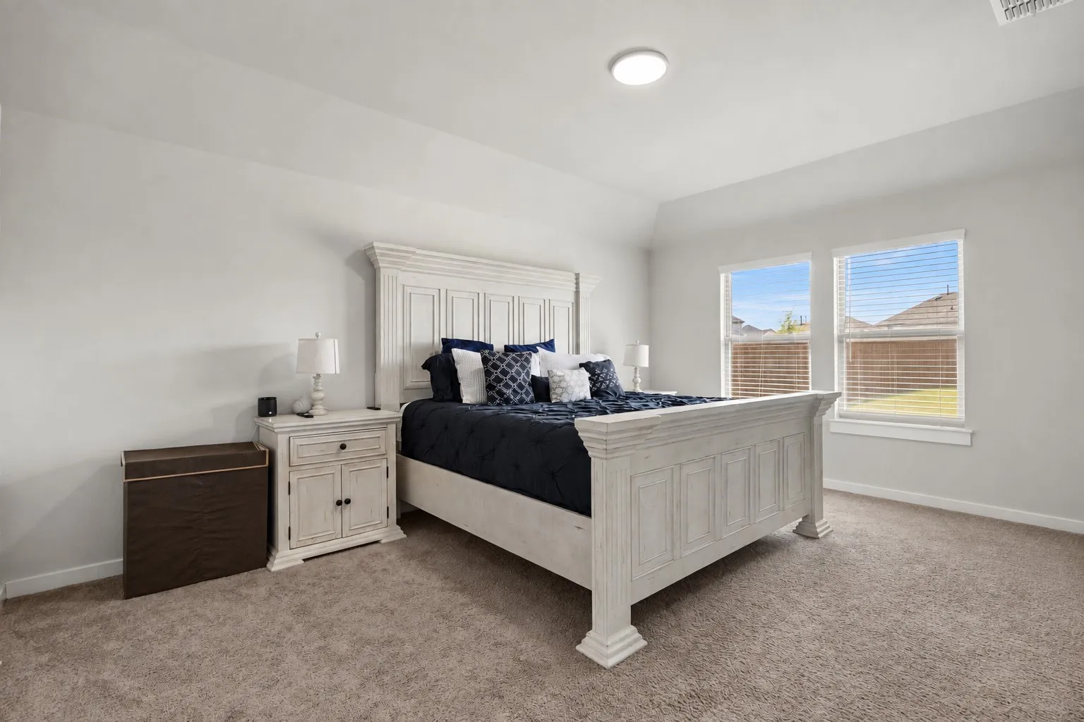 Tray ceiling, light gray wall paint, two windows with blinds, recessed ceiling light, and carpet flooring