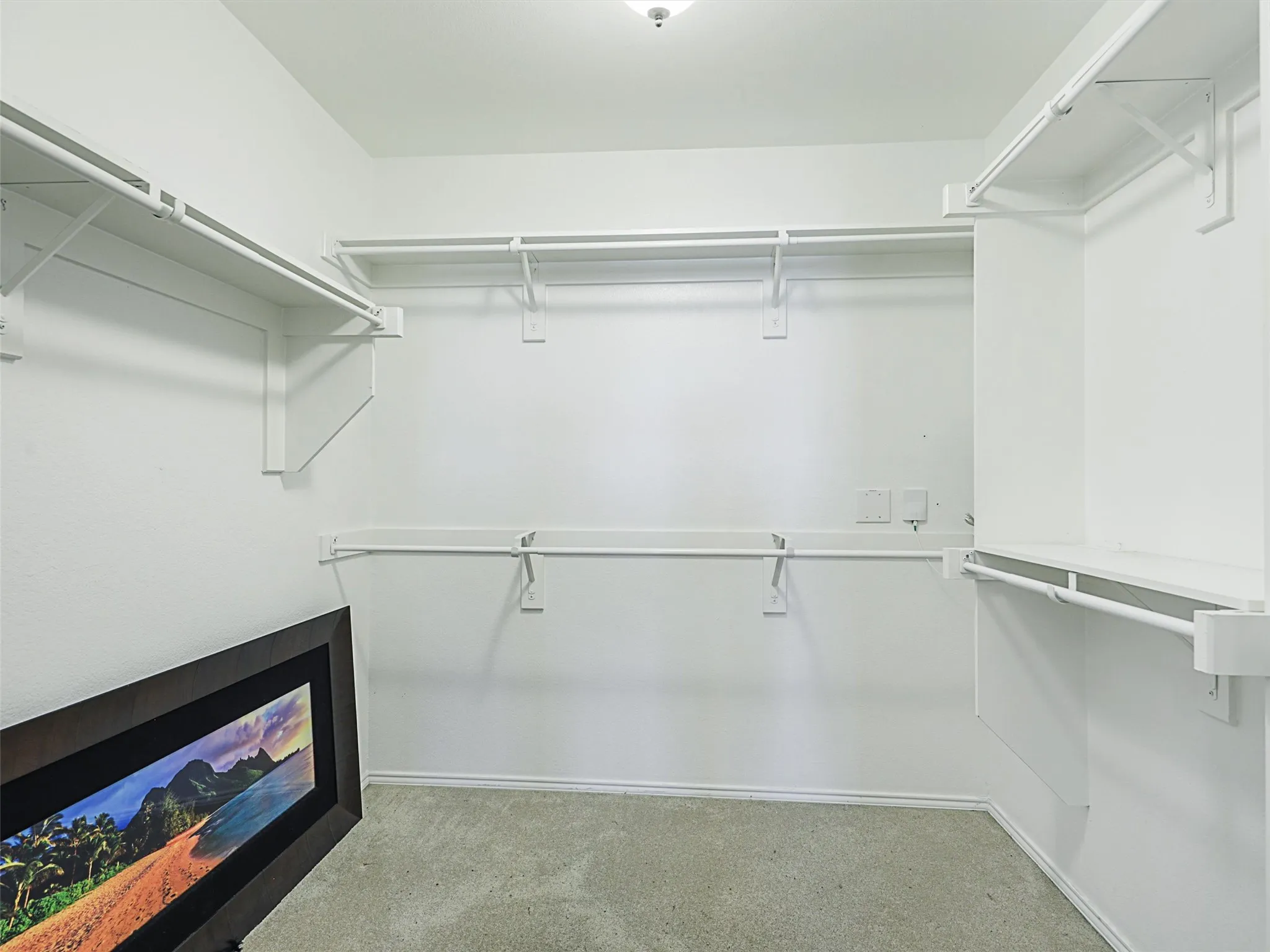 Walk in closet featuring carpet flooring