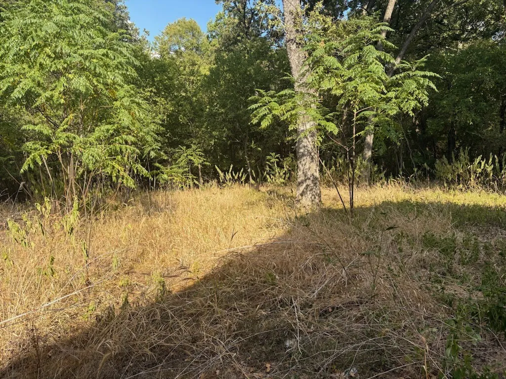 Unimproved Land For Sale in Navarro County , 3744 NW COUNTY Road, Purdon, Texas 76679, 0, 0, Garage spaces, 0 Sqft, built in 0, mls#21398421, Real Estate Agent in Purdon, Homes For Sale in Navarro county, Homes For Sale in Purdon, Realtor in Purdon Texas, Real Estate Brokerage Independent Realty Texas, Luminita Cordes Realtor