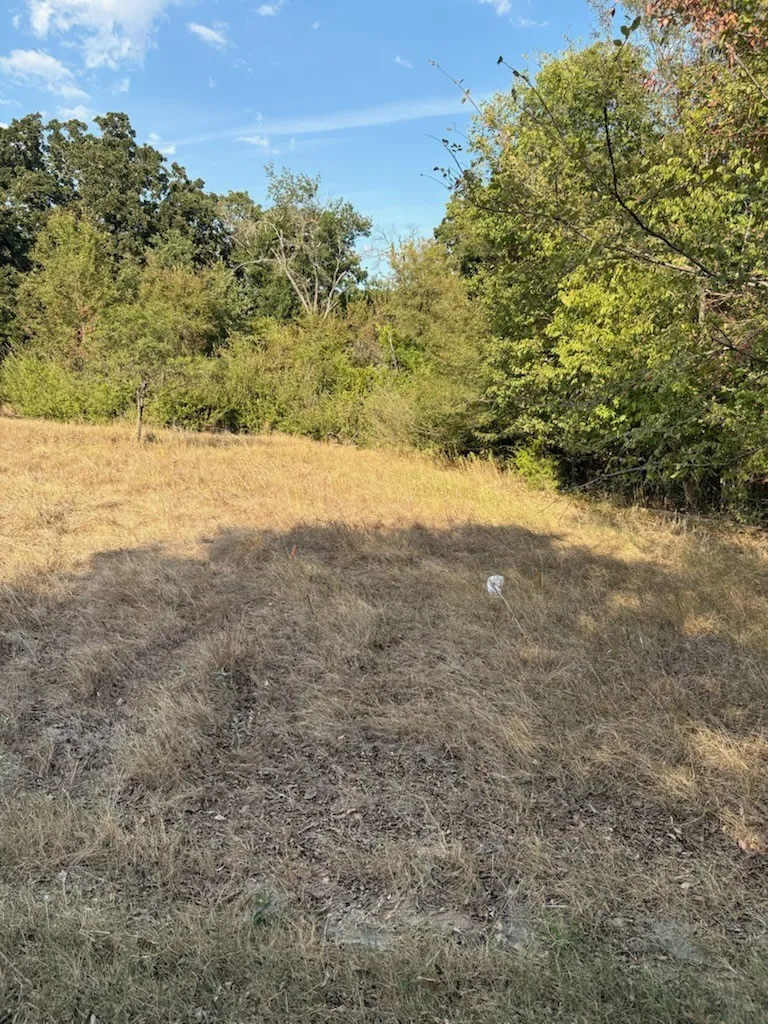Unimproved Land For Sale in Navarro County , 3744 NW COUNTY Road, Purdon, Texas 76679, 0, 0, Garage spaces, 0 Sqft, built in 0, mls#21398421, Real Estate Agent in Purdon, Homes For Sale in Navarro county, Homes For Sale in Purdon, Realtor in Purdon Texas, Real Estate Brokerage Independent Realty Texas, Luminita Cordes Realtor