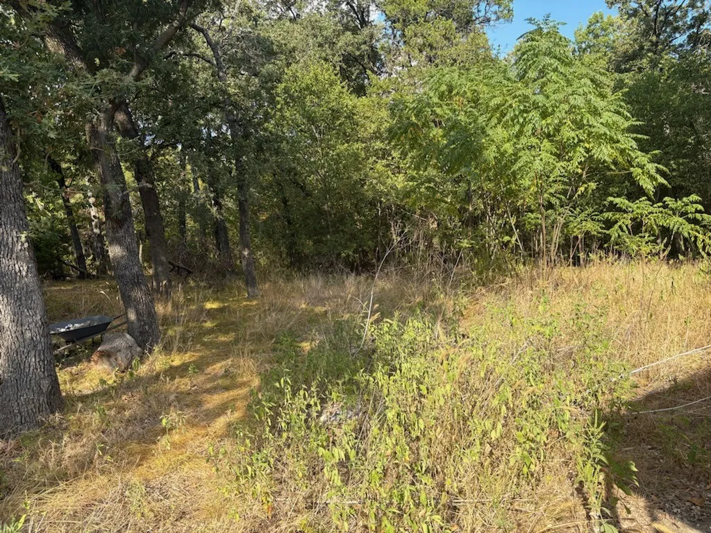 Unimproved Land For Sale in Navarro County , 3744 NW COUNTY Road, Purdon, Texas 76679, 0, 0, Garage spaces, 0 Sqft, built in 0, mls#21398421, Real Estate Agent in Purdon, Homes For Sale in Navarro county, Homes For Sale in Purdon, Realtor in Purdon Texas, Real Estate Brokerage Independent Realty Texas, Luminita Cordes Realtor