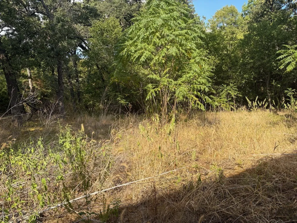 Unimproved Land For Sale in Navarro County , 3744 NW COUNTY Road, Purdon, Texas 76679, 0, 0, Garage spaces, 0 Sqft, built in 0, mls#21398421, Real Estate Agent in Purdon, Homes For Sale in Navarro county, Homes For Sale in Purdon, Realtor in Purdon Texas, Real Estate Brokerage Independent Realty Texas, Luminita Cordes Realtor
