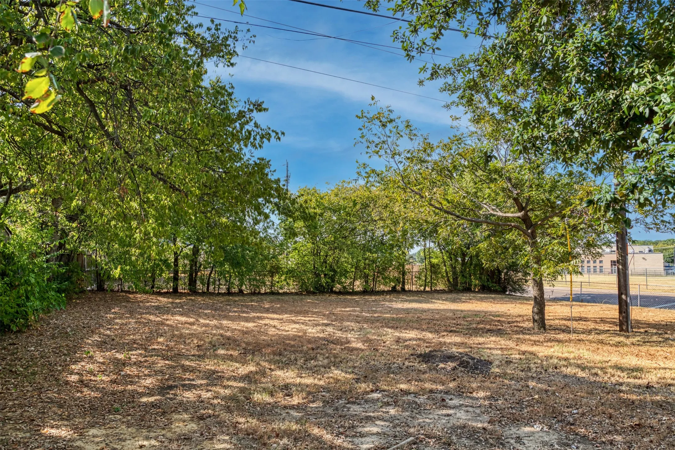 Massive backyard with mature trees.