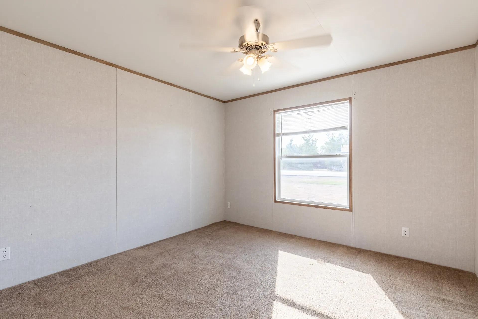Carpeted flooring, single window, flush-mount ceiling light with fan, and neutral wall tones