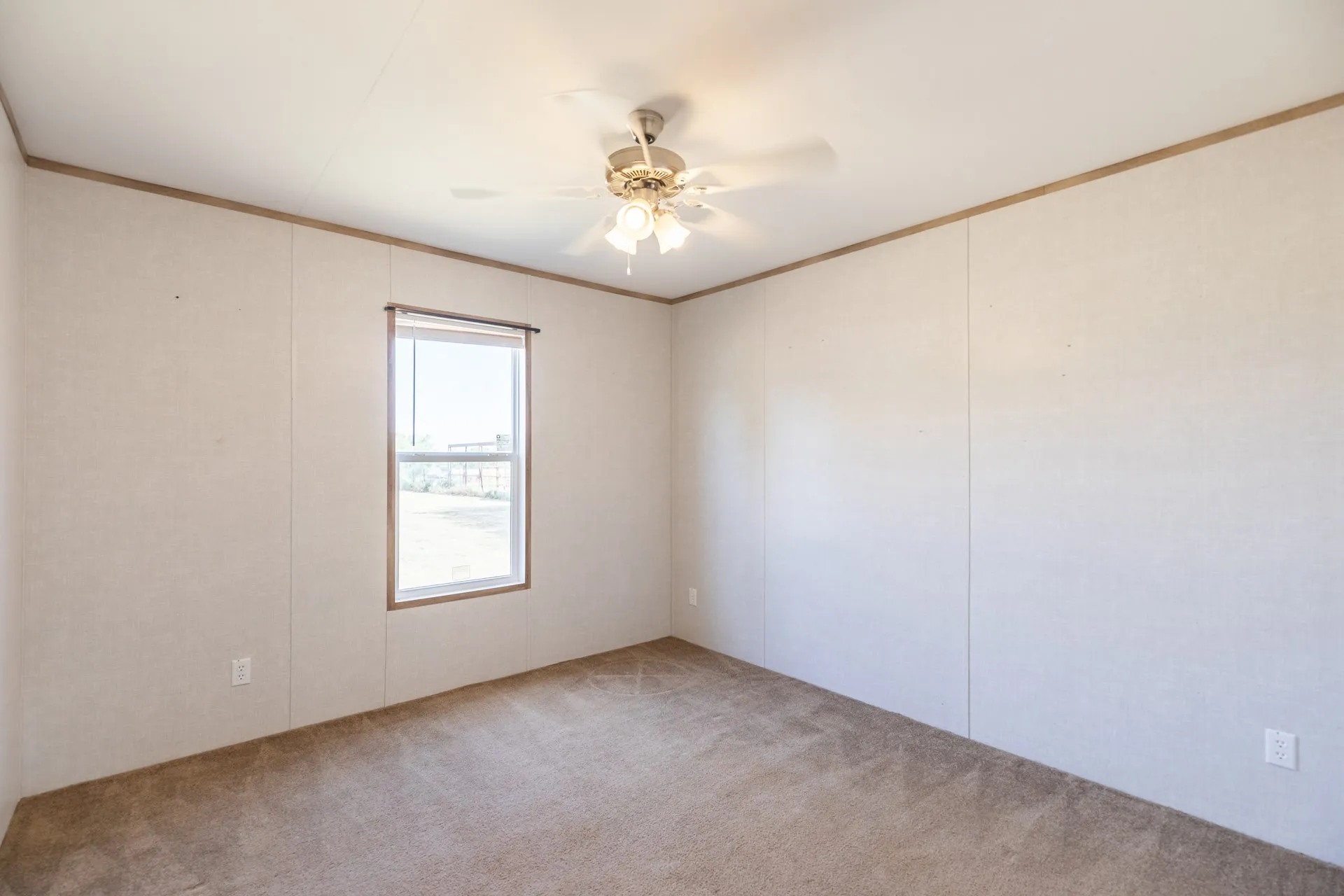 Carpeted flooring, ceiling fan with integrated lighting, single window, and light-toned walls