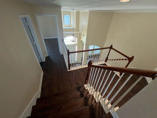 Staircase with wood-finish flooring, white balusters, and a rich wood handrail