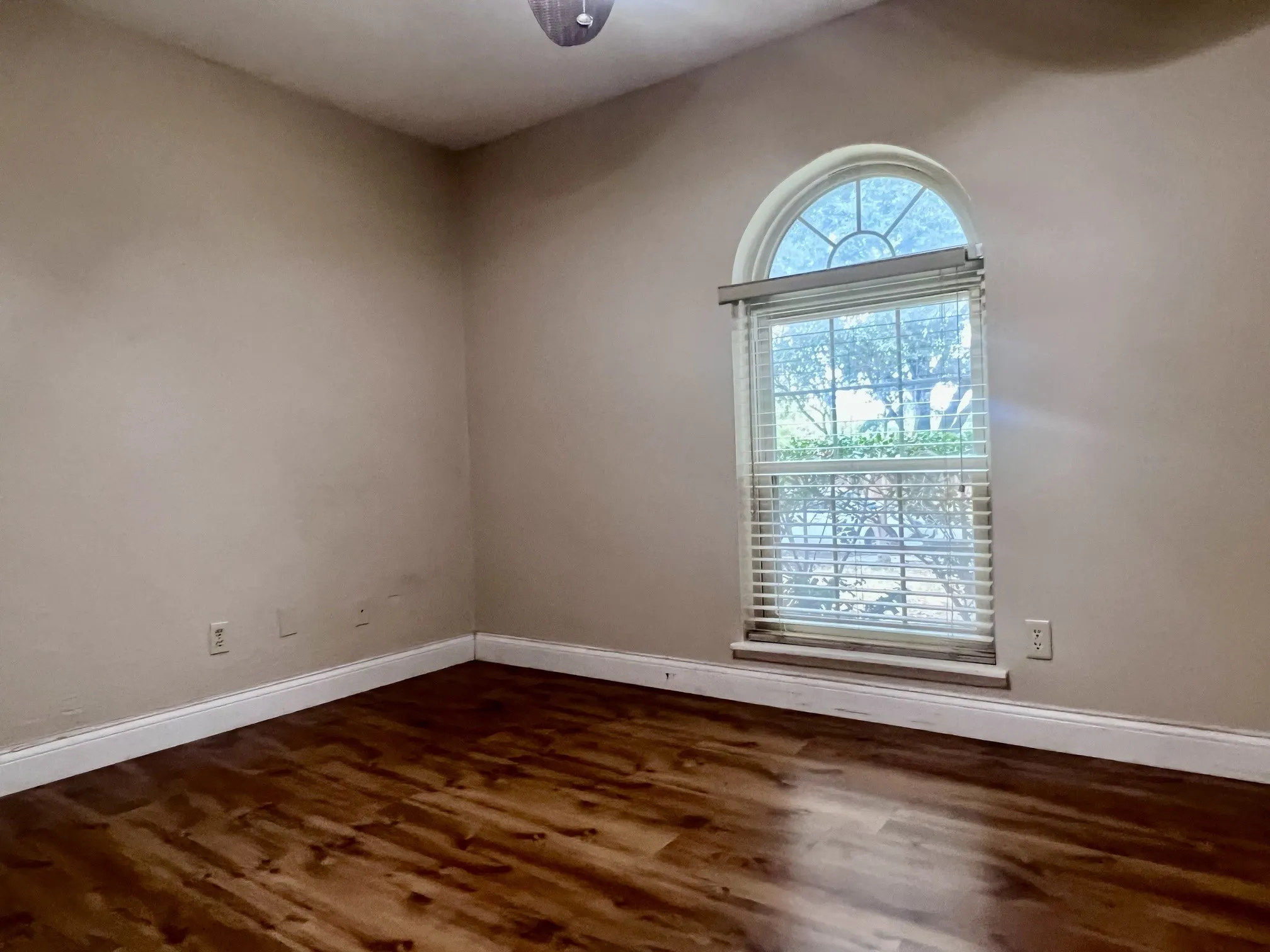 Arch-top window with blinds and wood-finish flooring