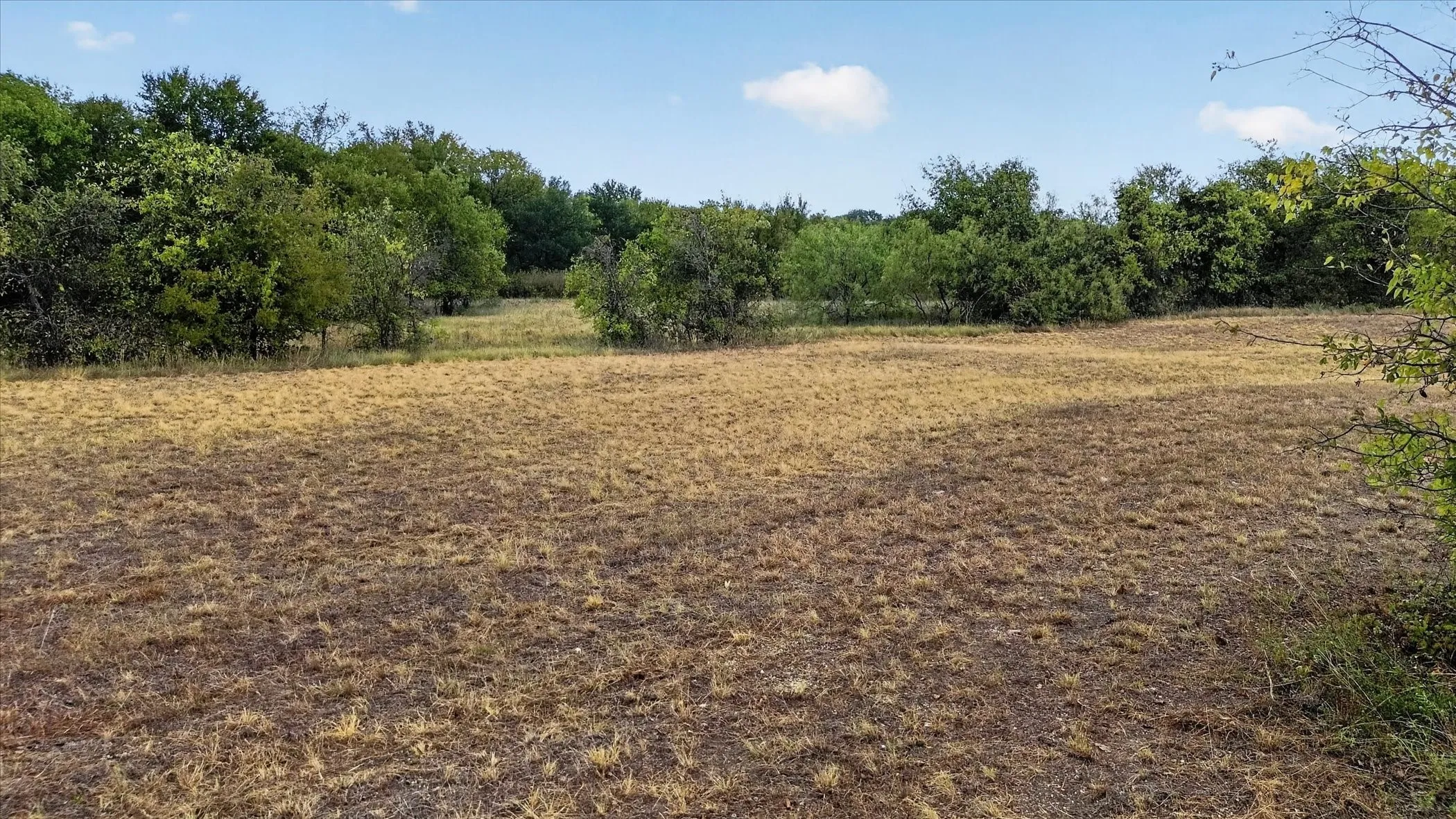 Unimproved Land For Sale in Hill County , Lot 3 Ranchside, Itasca, Texas 76055, 0, 0, Garage spaces, 0 Sqft, built in 0, mls#21384332, Real Estate Agent in Itasca, Homes For Sale in Hill county, Homes For Sale in Itasca, Realtor in Itasca Texas, Real Estate Brokerage Independent Realty Texas, Luminita Cordes Realtor