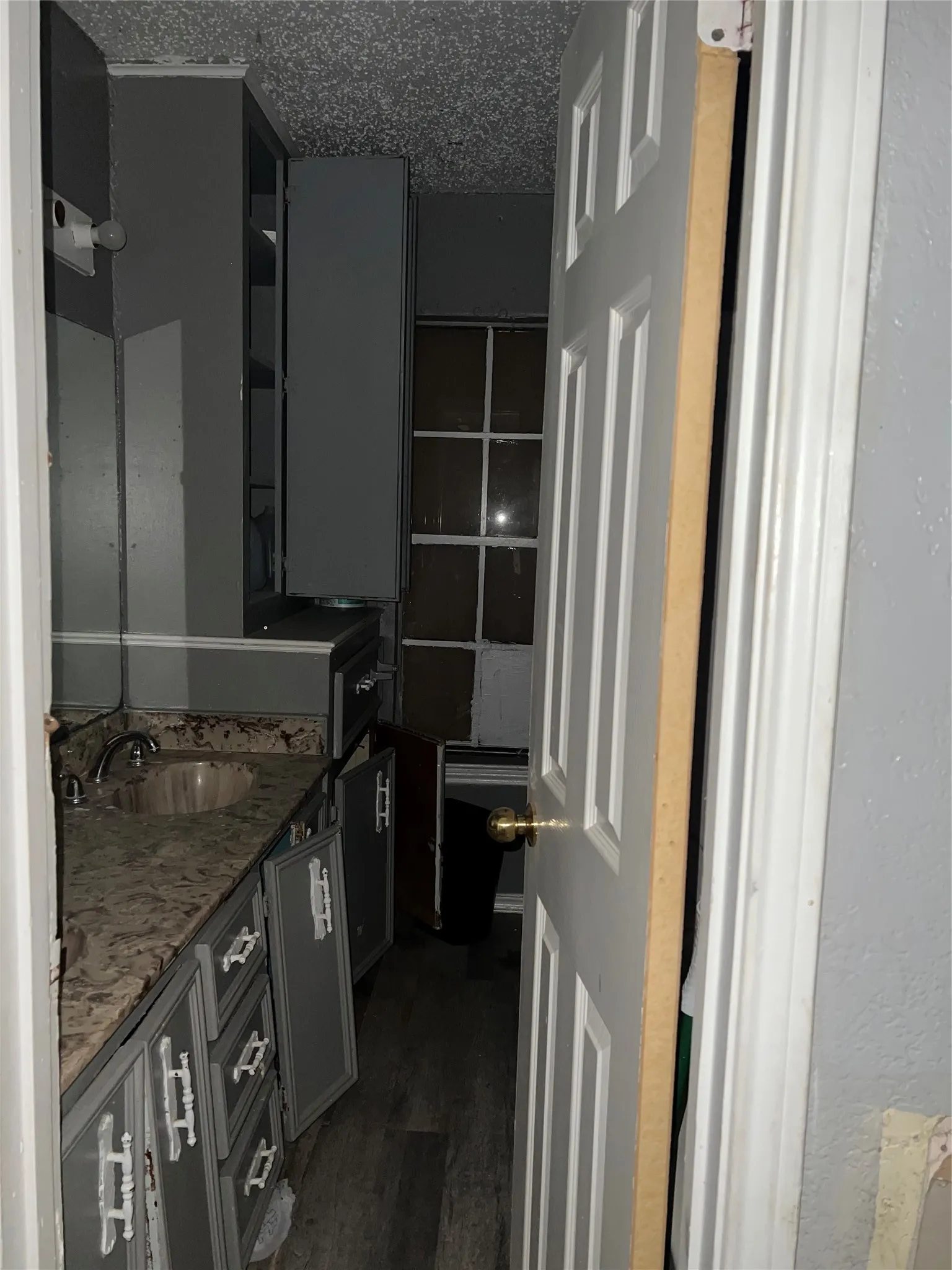 Single Family Residence For Sale in Denton County , 1279 Willow Lane, Denton, Texas 76207, 8 Bedroom, 3 Bathroom, Garage spaces, 2,256 Sqft, built in 1995, mls#21394598, Real Estate Agent in Denton, Homes For Sale in Denton county, Homes For Sale in Denton, Realtor in Denton Texas, Real Estate Brokerage Independent Realty Texas, Luminita Cordes Realtor