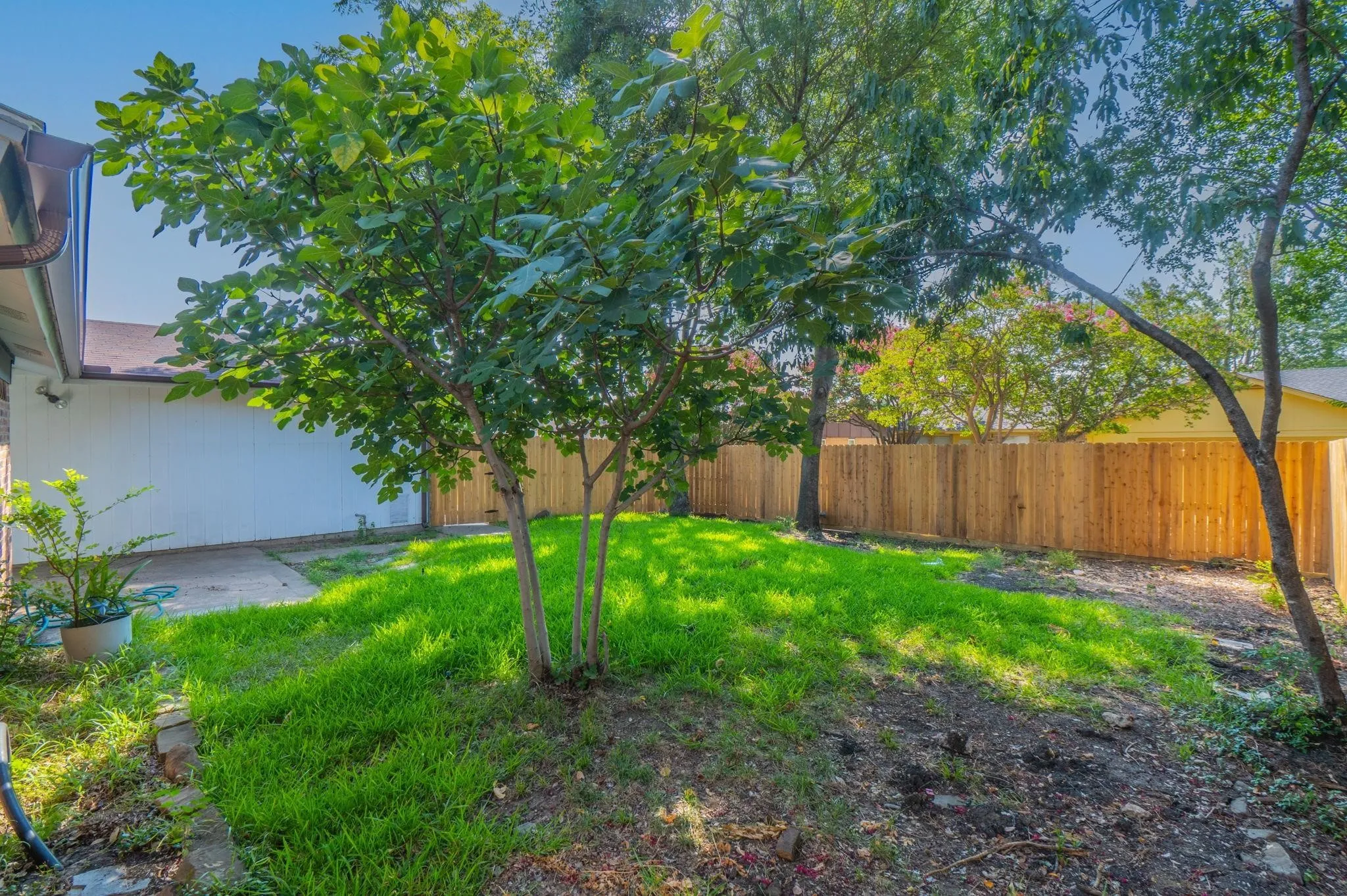 Single Family Residence For Rent in Dallas County , 1514 Hindsdale Drive, Richardson, Texas 75081, 4 Bedroom, 2 Bathroom, Garage spaces, 1,538 Sqft, built in 1979, mls#21398514, Real Estate Agent in Richardson, Homes For Rent in Dallas county, Homes For Rent in Richardson, Realtor in Richardson Texas, Real Estate Brokerage Independent Realty Texas, Luminita Cordes Realtor