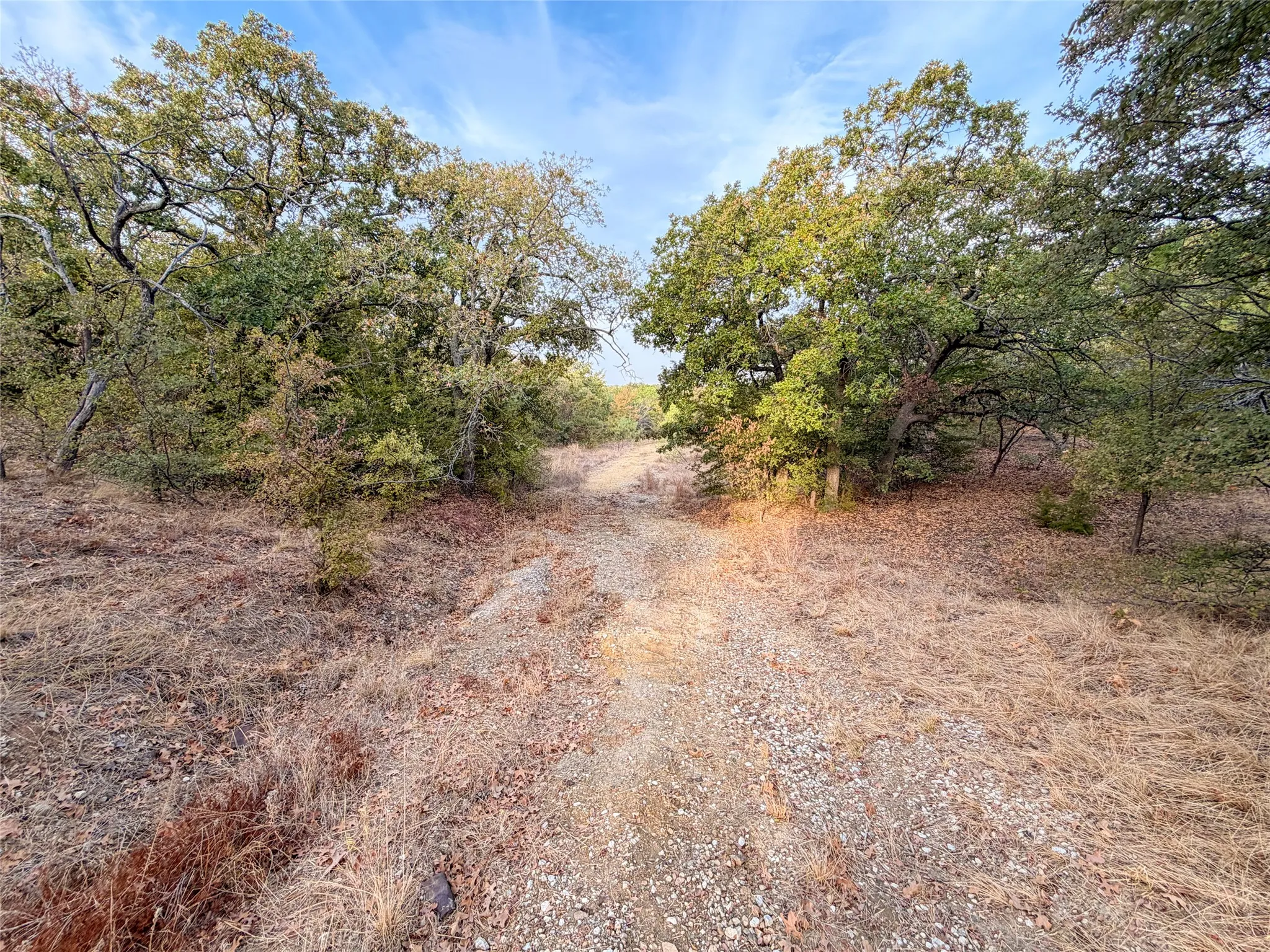Ranch For Sale in Denton County , TBD Rock Hill, Aubrey, Texas 76227, 0, 0, Garage spaces, 0 Sqft, built in 0, mls#21398578, Real Estate Agent in Aubrey, Homes For Sale in Denton county, Homes For Sale in Aubrey, Realtor in Aubrey Texas, Real Estate Brokerage Independent Realty Texas, Luminita Cordes Realtor