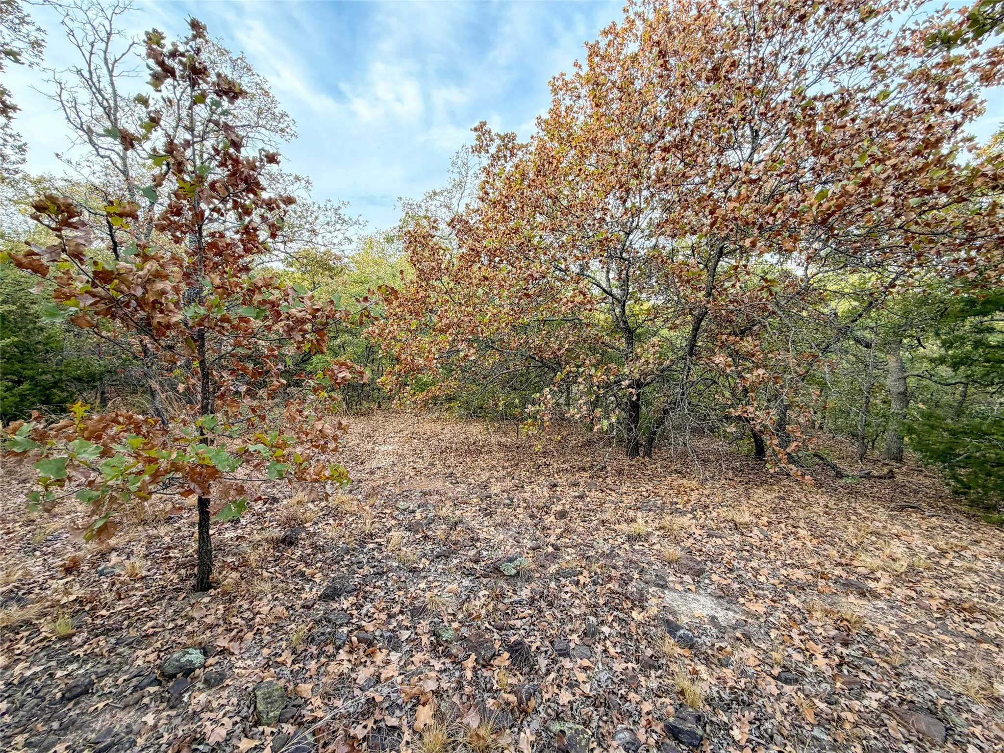 Ranch For Sale in Denton County , TBD Rock Hill, Aubrey, Texas 76227, 0, 0, Garage spaces, 0 Sqft, built in 0, mls#21398578, Real Estate Agent in Aubrey, Homes For Sale in Denton county, Homes For Sale in Aubrey, Realtor in Aubrey Texas, Real Estate Brokerage Independent Realty Texas, Luminita Cordes Realtor