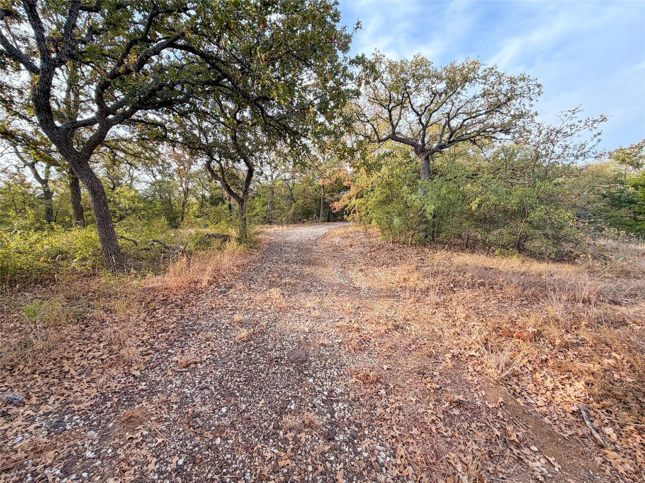 Ranch For Sale in Denton County , TBD Rock Hill, Aubrey, Texas 76227, 0, 0, Garage spaces, 0 Sqft, built in 0, mls#21398578, Real Estate Agent in Aubrey, Homes For Sale in Denton county, Homes For Sale in Aubrey, Realtor in Aubrey Texas, Real Estate Brokerage Independent Realty Texas, Luminita Cordes Realtor