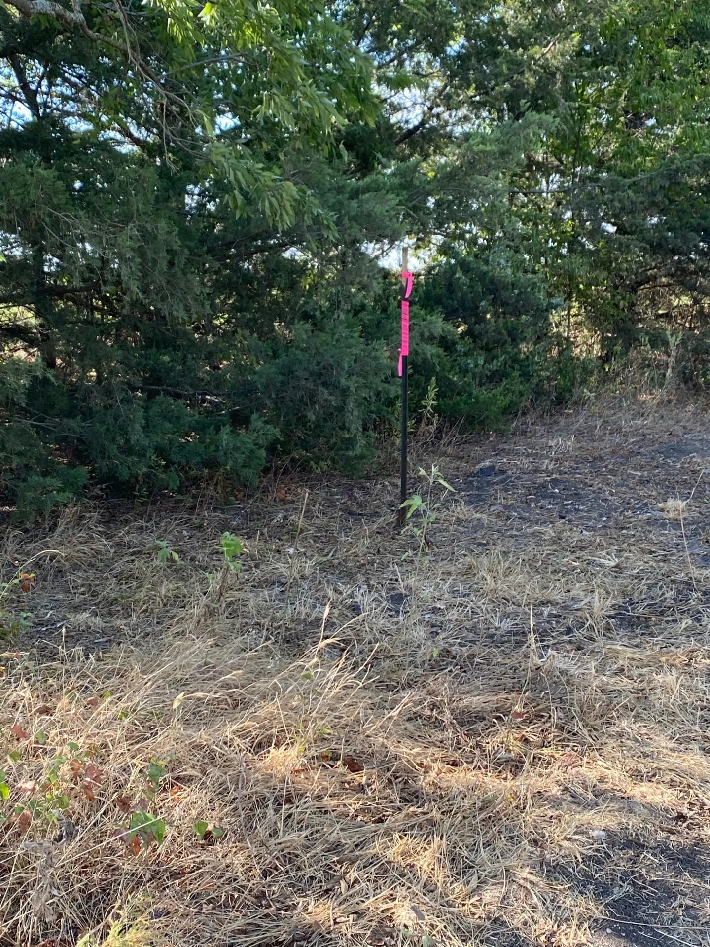 T-post marking approximately left front side of the land