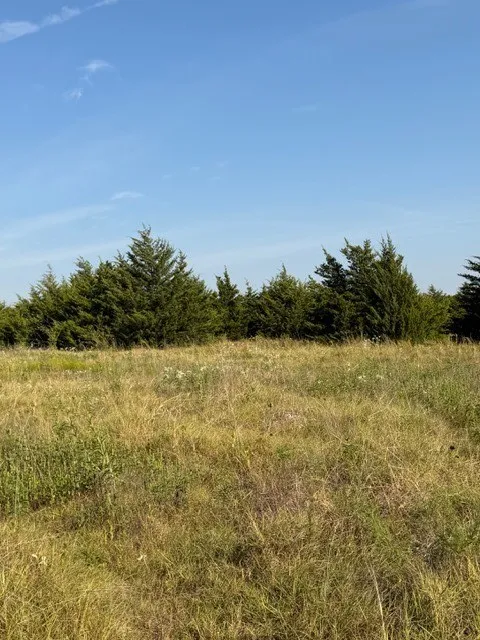 Lots of open space to build on