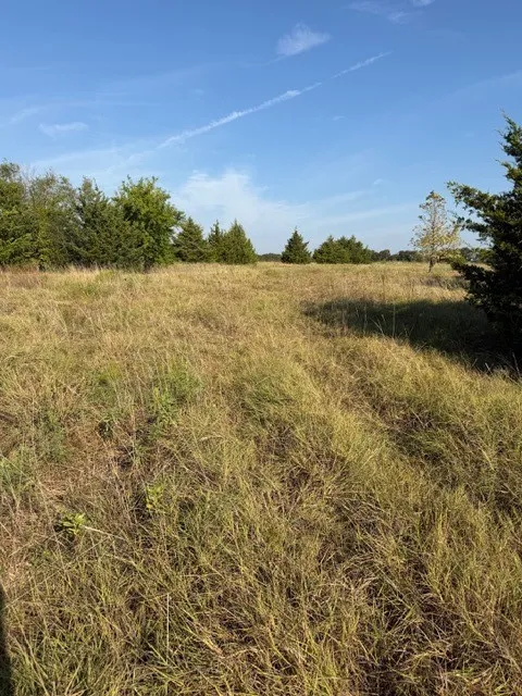 Unimproved Land For Sale in Hunt County , 7720 County Road 1135, Leonard, Texas 75452, 0, 0, Garage spaces, 0 Sqft, built in 0, mls#21386235, Real Estate Agent in Leonard, Homes For Sale in Hunt county, Homes For Sale in Leonard, Realtor in Leonard Texas, Real Estate Brokerage Independent Realty Texas, Luminita Cordes Realtor