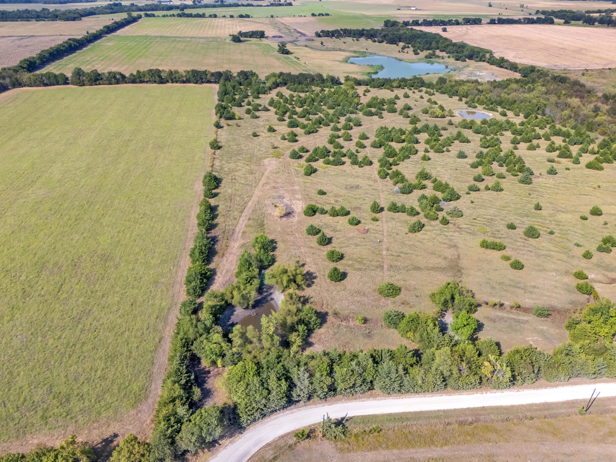 Unimproved Land For Sale in Hunt County , 7720 County Road 1135, Leonard, Texas 75452, 0, 0, Garage spaces, 0 Sqft, built in 0, mls#21386235, Real Estate Agent in Leonard, Homes For Sale in Hunt county, Homes For Sale in Leonard, Realtor in Leonard Texas, Real Estate Brokerage Independent Realty Texas, Luminita Cordes Realtor